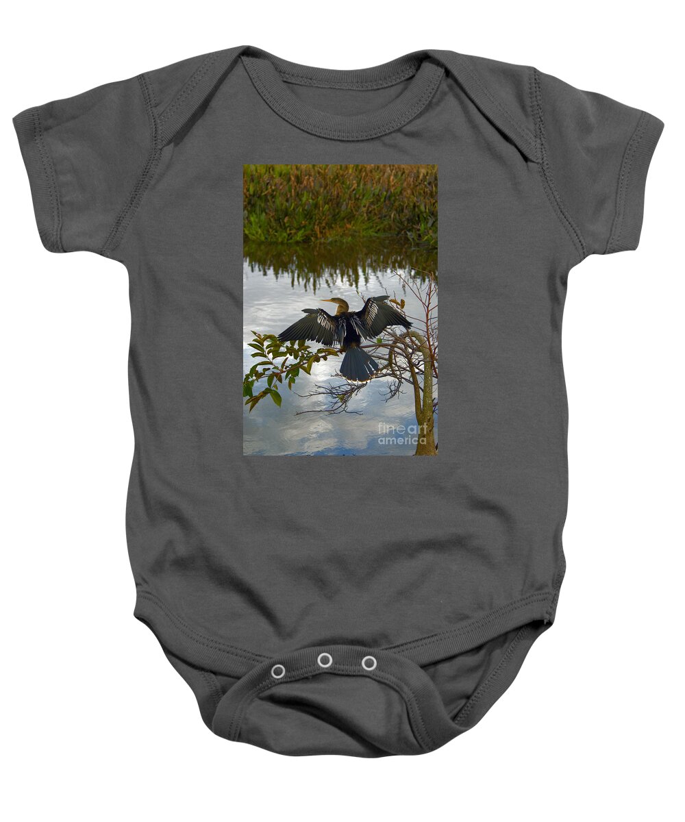 Fauna Baby Onesie featuring the photograph Anhinga #8 by Mark Newman