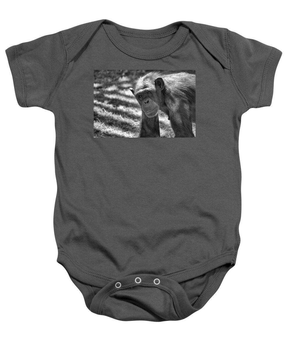 Chimpanzees Baby Onesie featuring the photograph A Bit Like Us V5 by Douglas Barnard