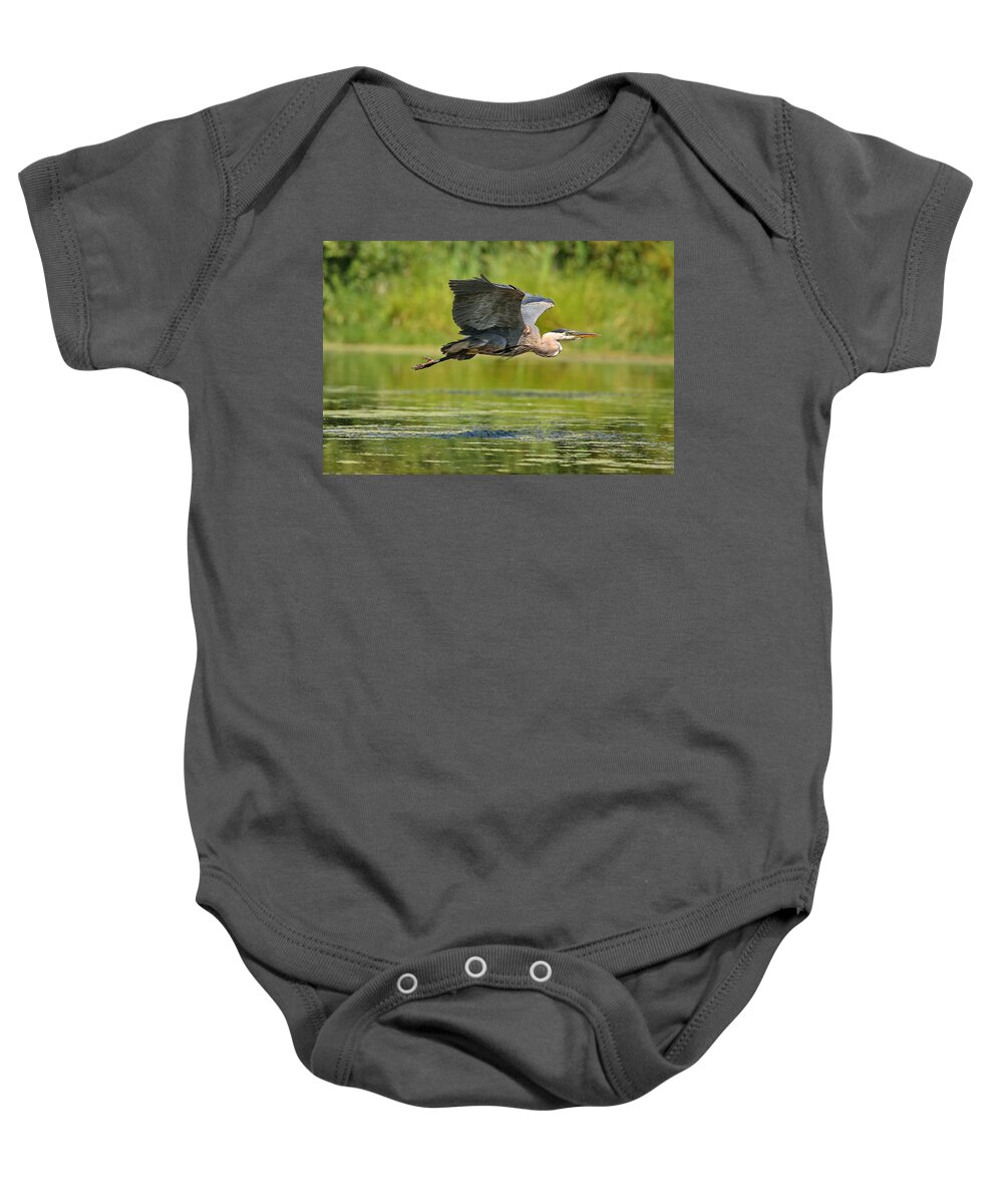 Great Baby Onesie featuring the photograph A dinosaur flies by BYET Photography