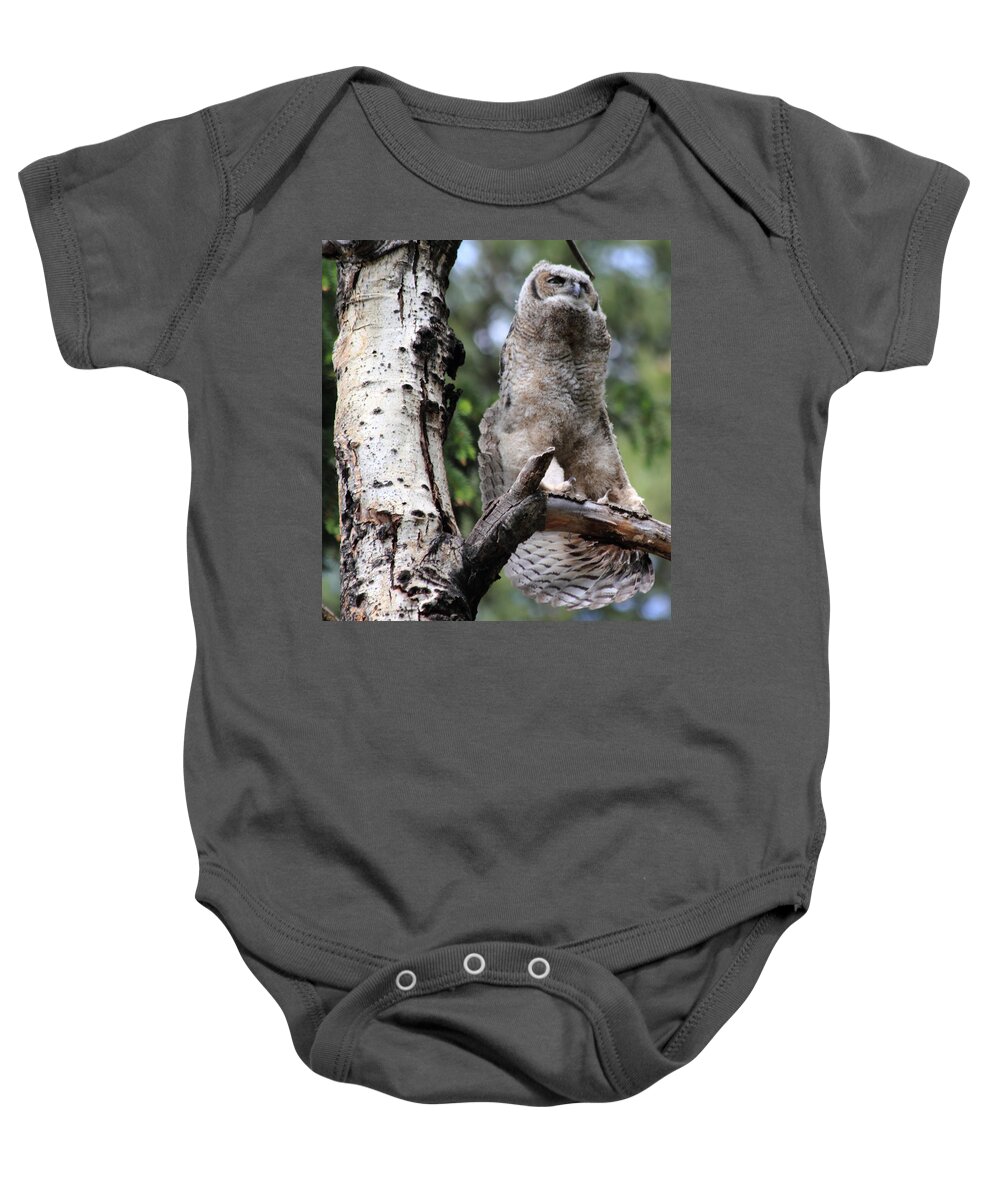 Great Horned Owl Baby Onesie featuring the photograph A good stretch by Shane Bechler