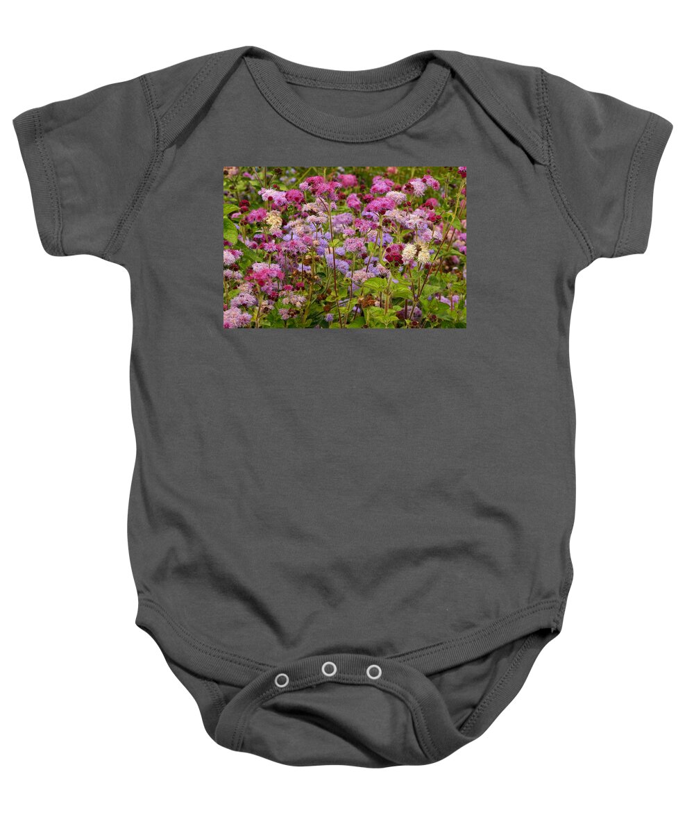 Colorful Small Flower Group Baby Onesie featuring the photograph A Lovely Fall Palette by Byron Varvarigos