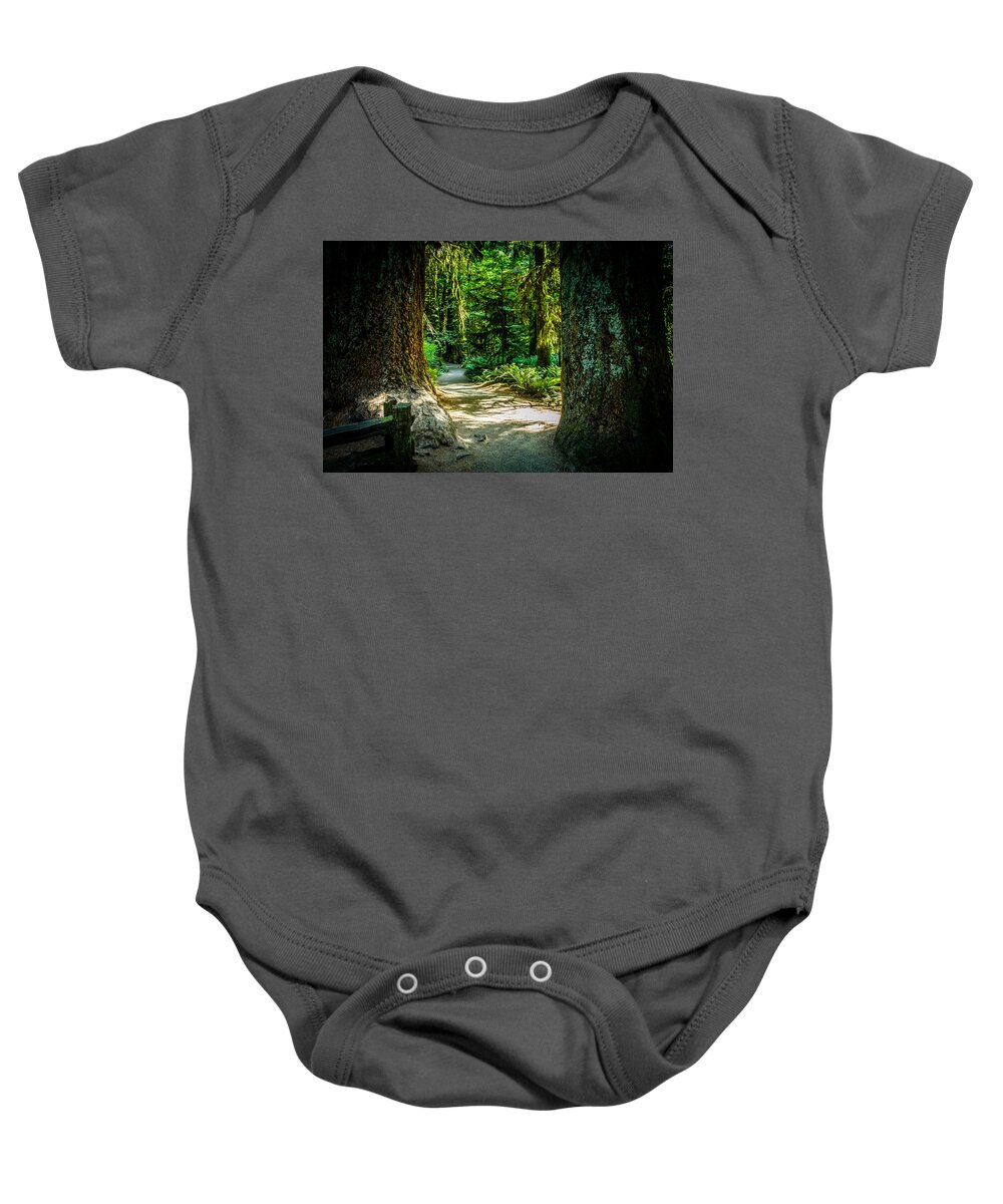 Old Growth Forest Baby Onesie featuring the photograph Pathway Cathedral Grove by Roxy Hurtubise