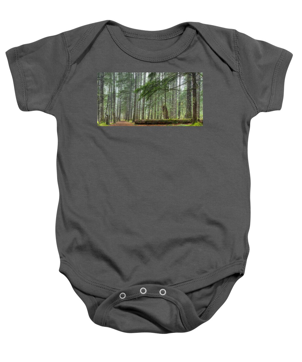 Noren Baby Onesie featuring the photograph A Walk Through the Forest by Jean Noren