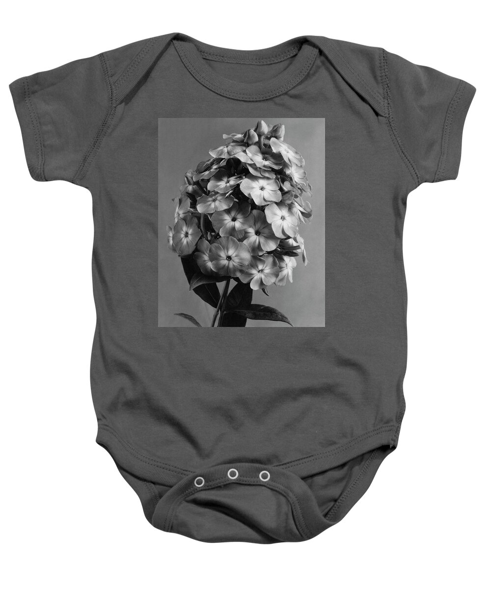 Plants Baby Onesie featuring the photograph A Widar by J. Horace McFarland