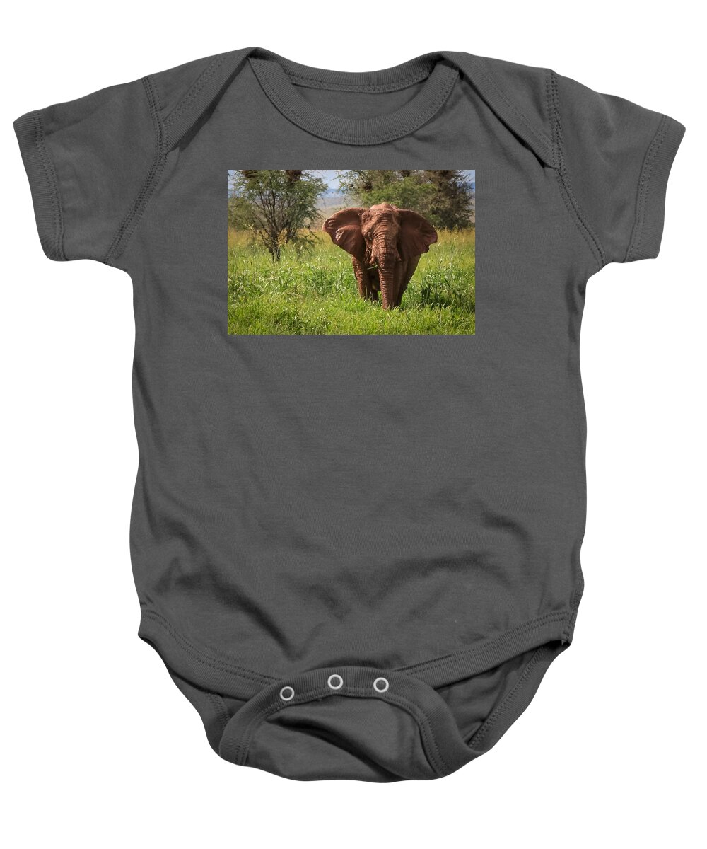 Namibia Baby Onesie featuring the photograph African Desert Elephant by Gregory Daley MPSA