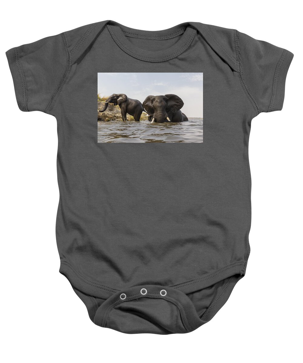 Vincent Grafhorst Baby Onesie featuring the photograph African Elephants In The Chobe River by Vincent Grafhorst