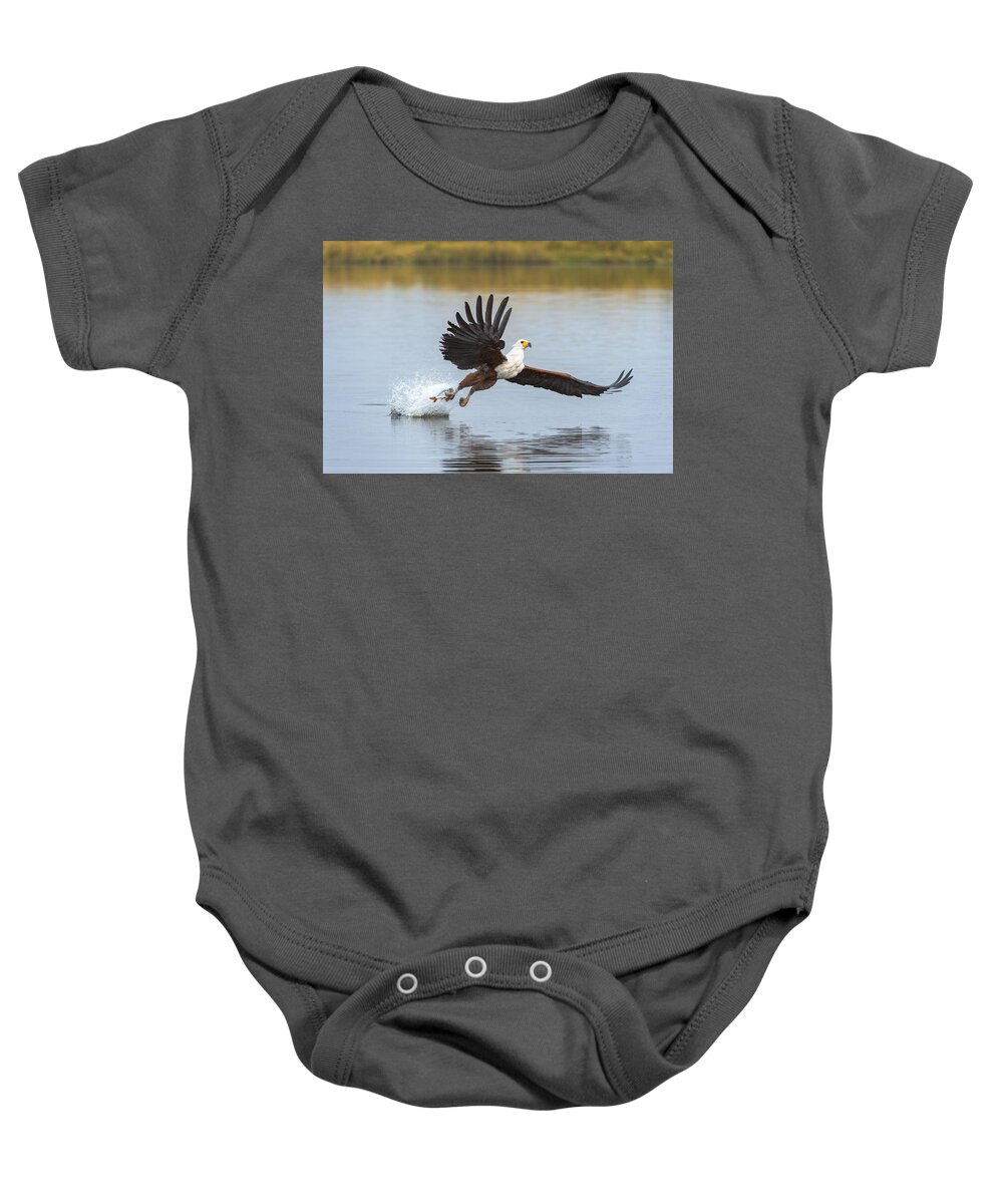 Andrew Schoeman Baby Onesie featuring the photograph African Fish Eagle Fishing Chobe River by Andrew Schoeman