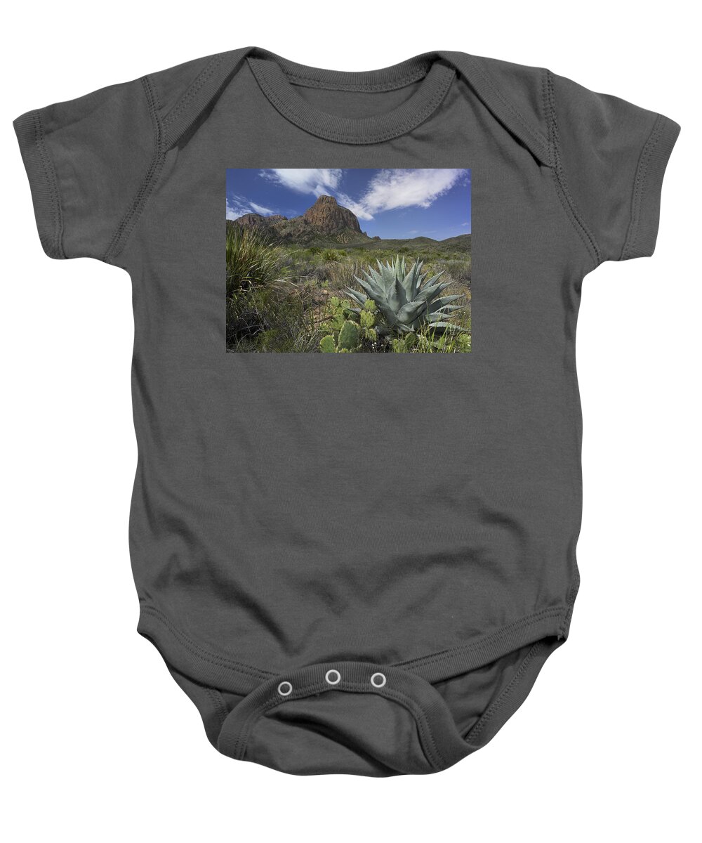 Feb0514 Baby Onesie featuring the photograph Agave And Cactus Big Bend Np Texas by Tim Fitzharris