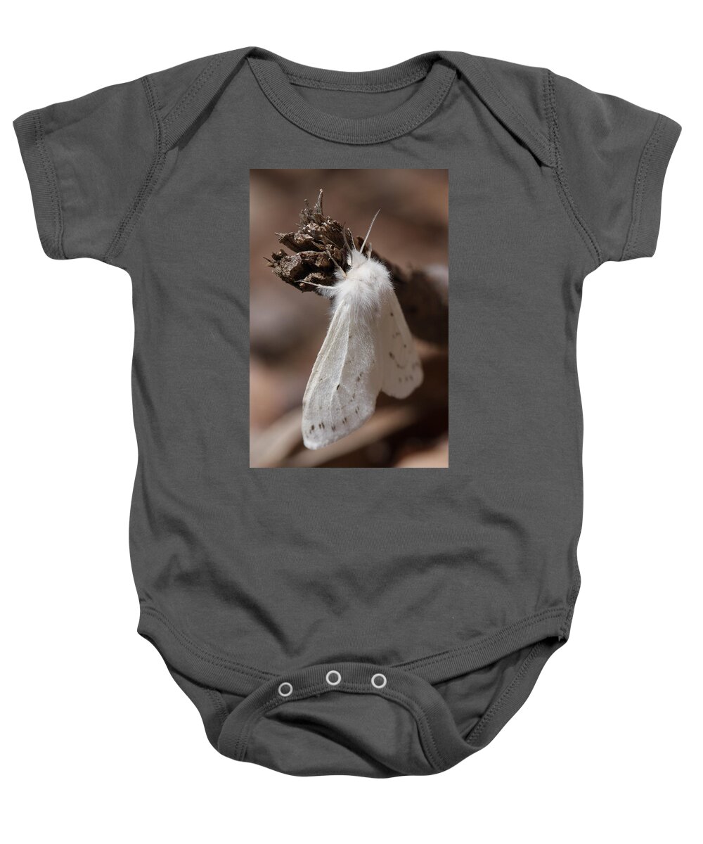 Agreeable Tiger Moth Baby Onesie featuring the photograph Agreeable Tiger Moth by Daniel Reed