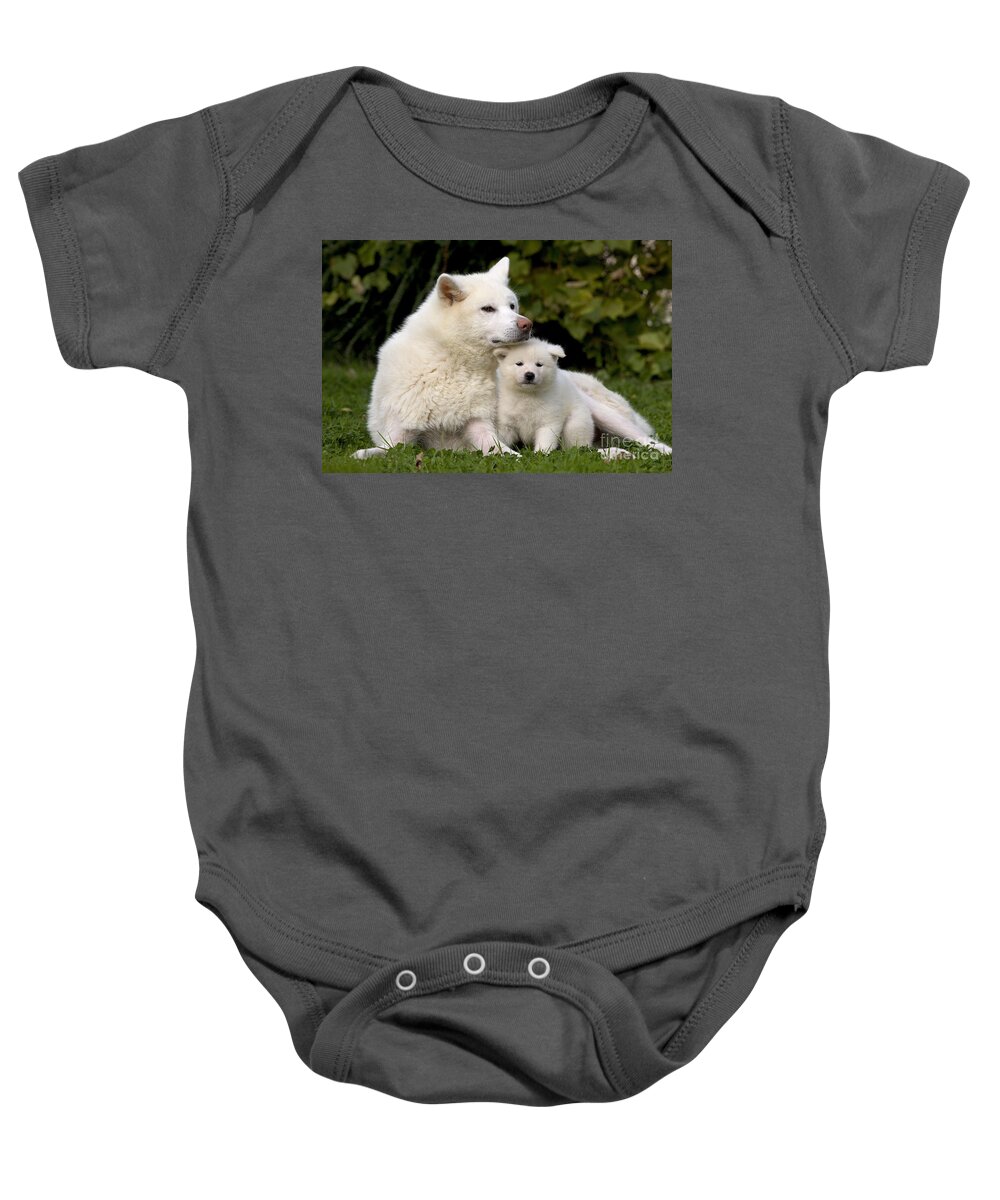 Dog Baby Onesie featuring the photograph Akita Inu Dog And Puppy by Jean-Michel Labat