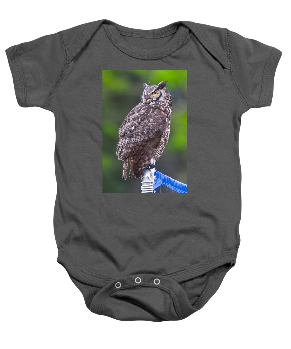 Wildlife Baby Onesie featuring the digital art Alaskan Owl by National Park Service