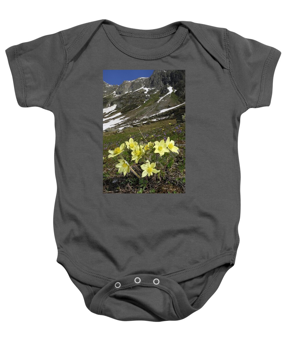Feb0514 Baby Onesie featuring the photograph Alpine Pasque Flower Swiss Alps by Thomas Marent