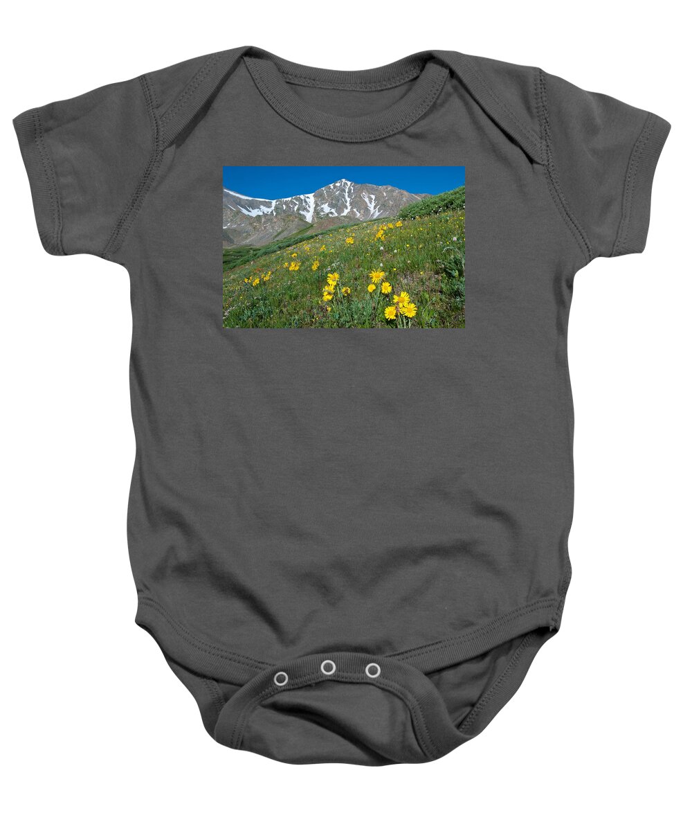 Alpine Sunflower Baby Onesie featuring the photograph Alpine Sunflower and Gray's Peak by Cascade Colors