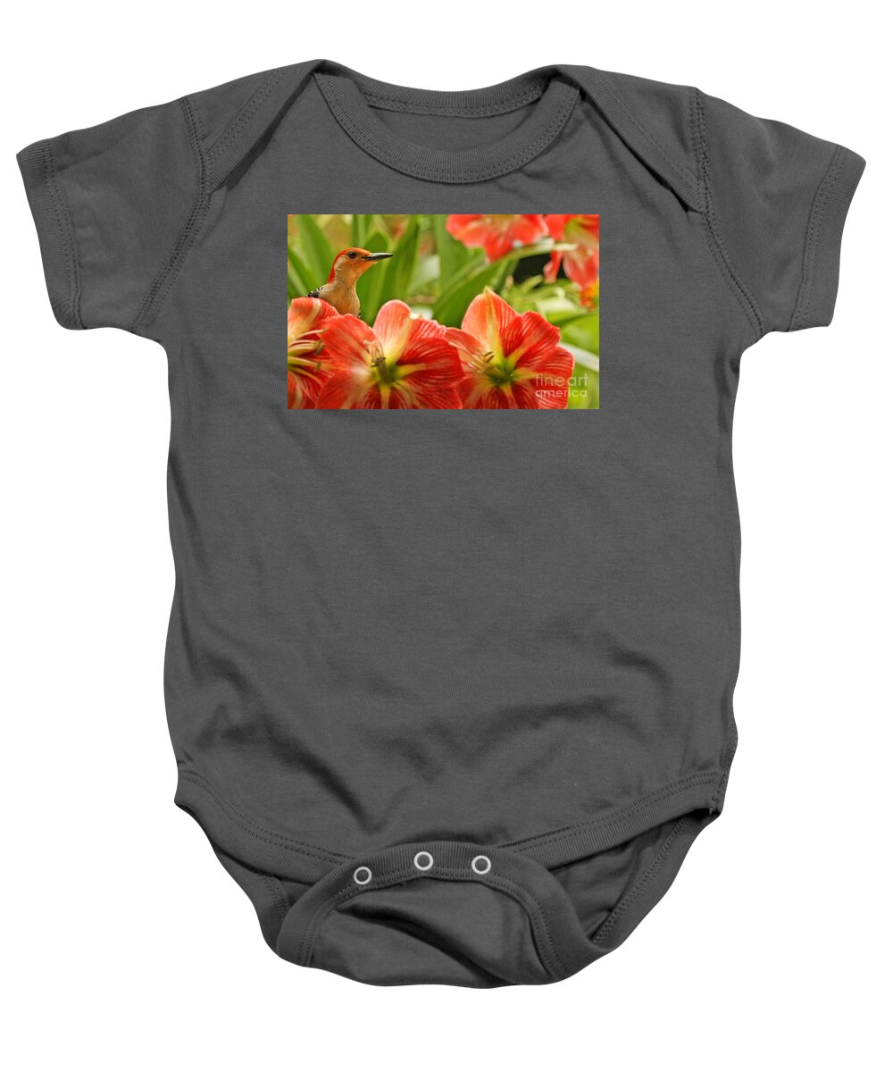 Red Belly Woodpecker Photo Baby Onesie featuring the photograph Woodpecker and Amaryllis Photo by Luana K Perez