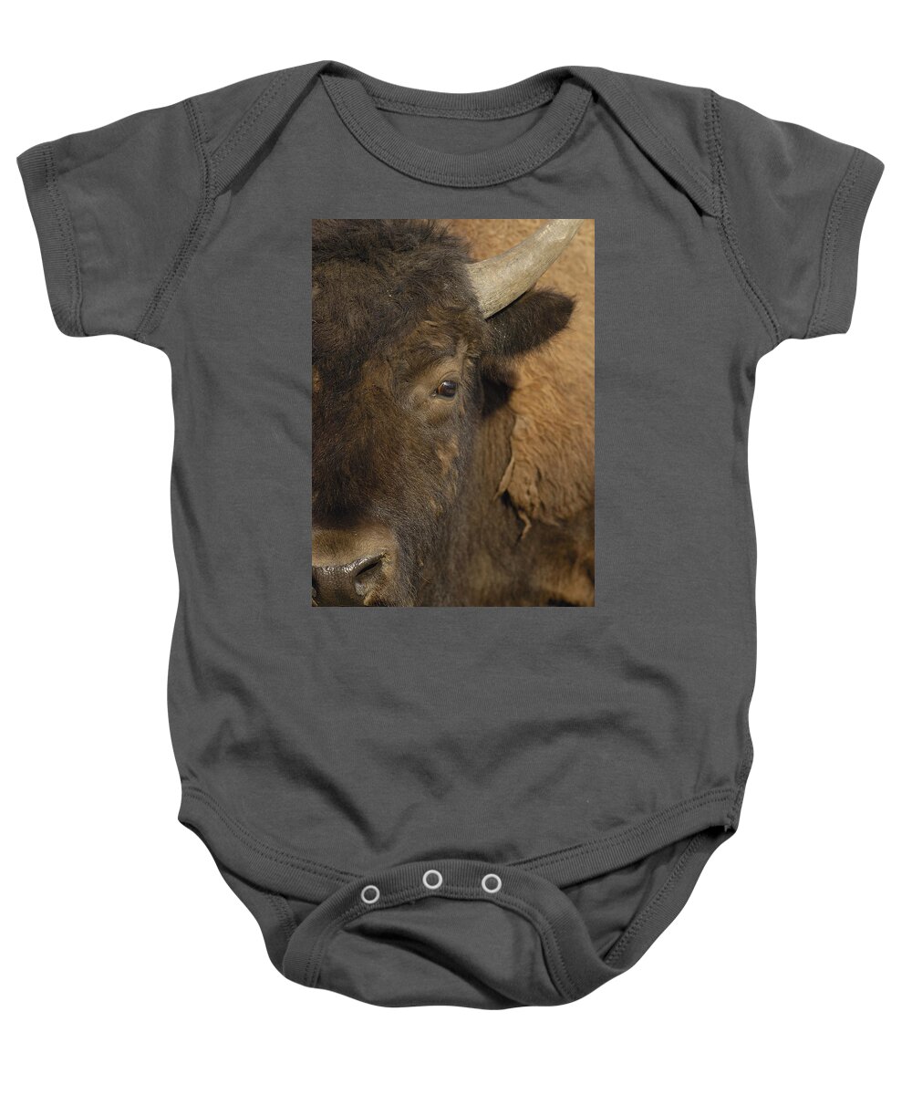 00210812 Baby Onesie featuring the photograph American Bison Male Wyoming by Pete Oxford