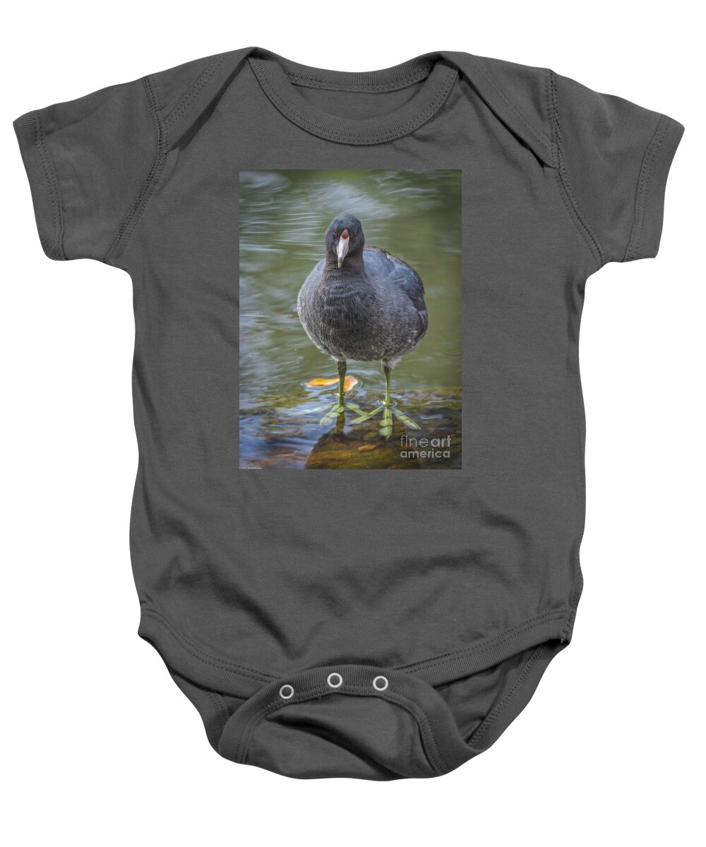 American Coot Baby Onesie featuring the photograph American Coot Portrait by Mitch Shindelbower