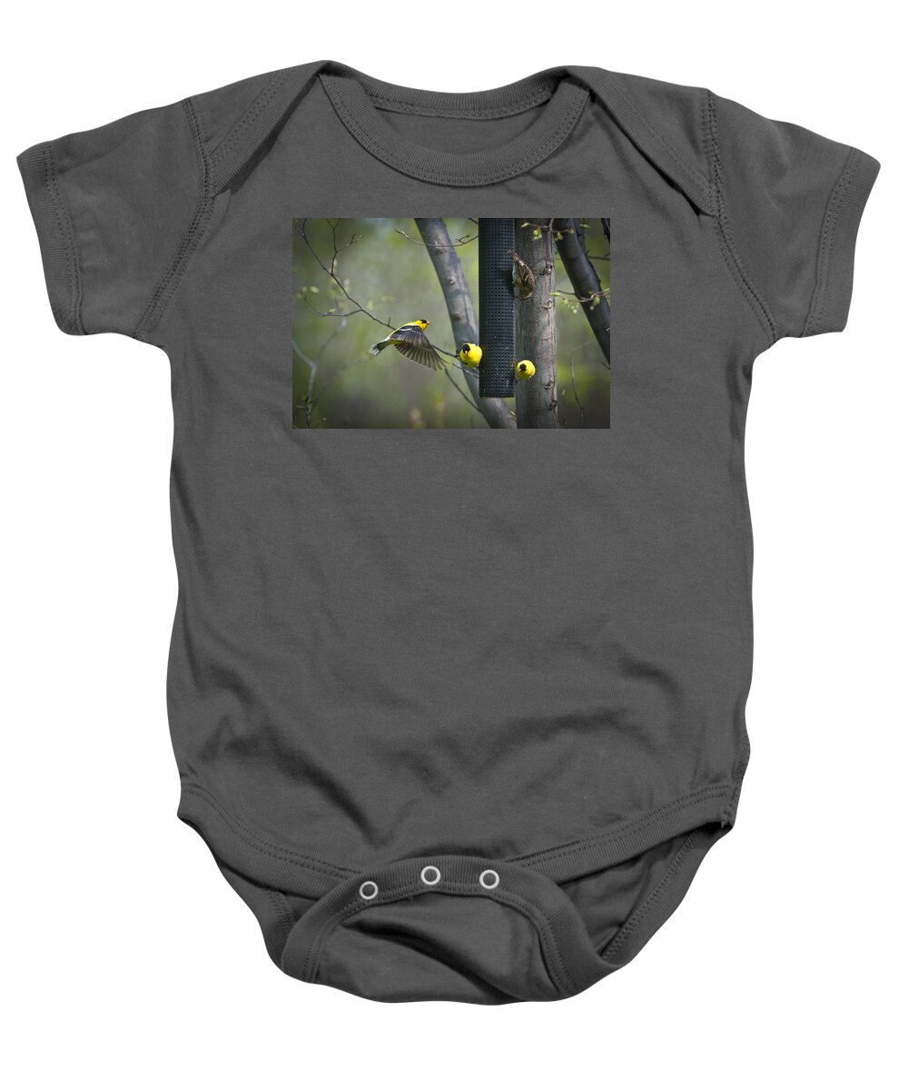 American Baby Onesie featuring the photograph American Goldfinch by Bill Cubitt