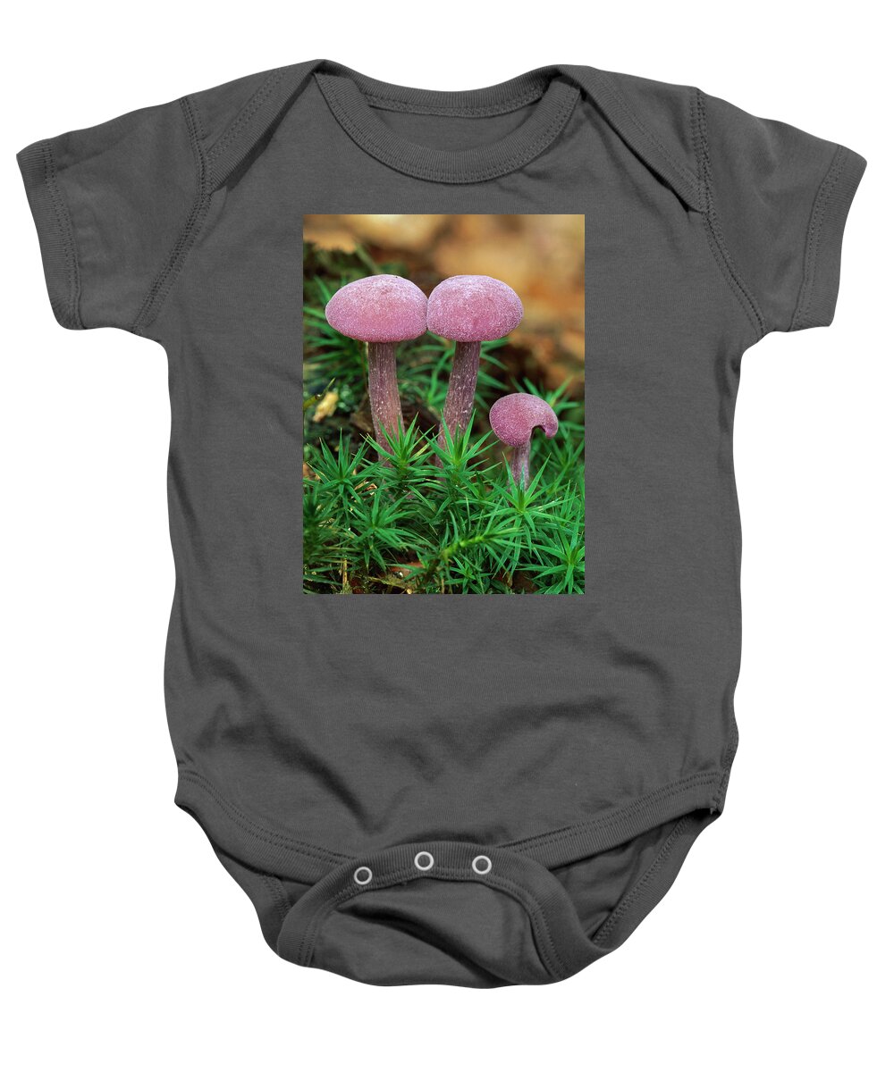 00785090 Baby Onesie featuring the photograph Amethyst Deceiver by Thomas Marent