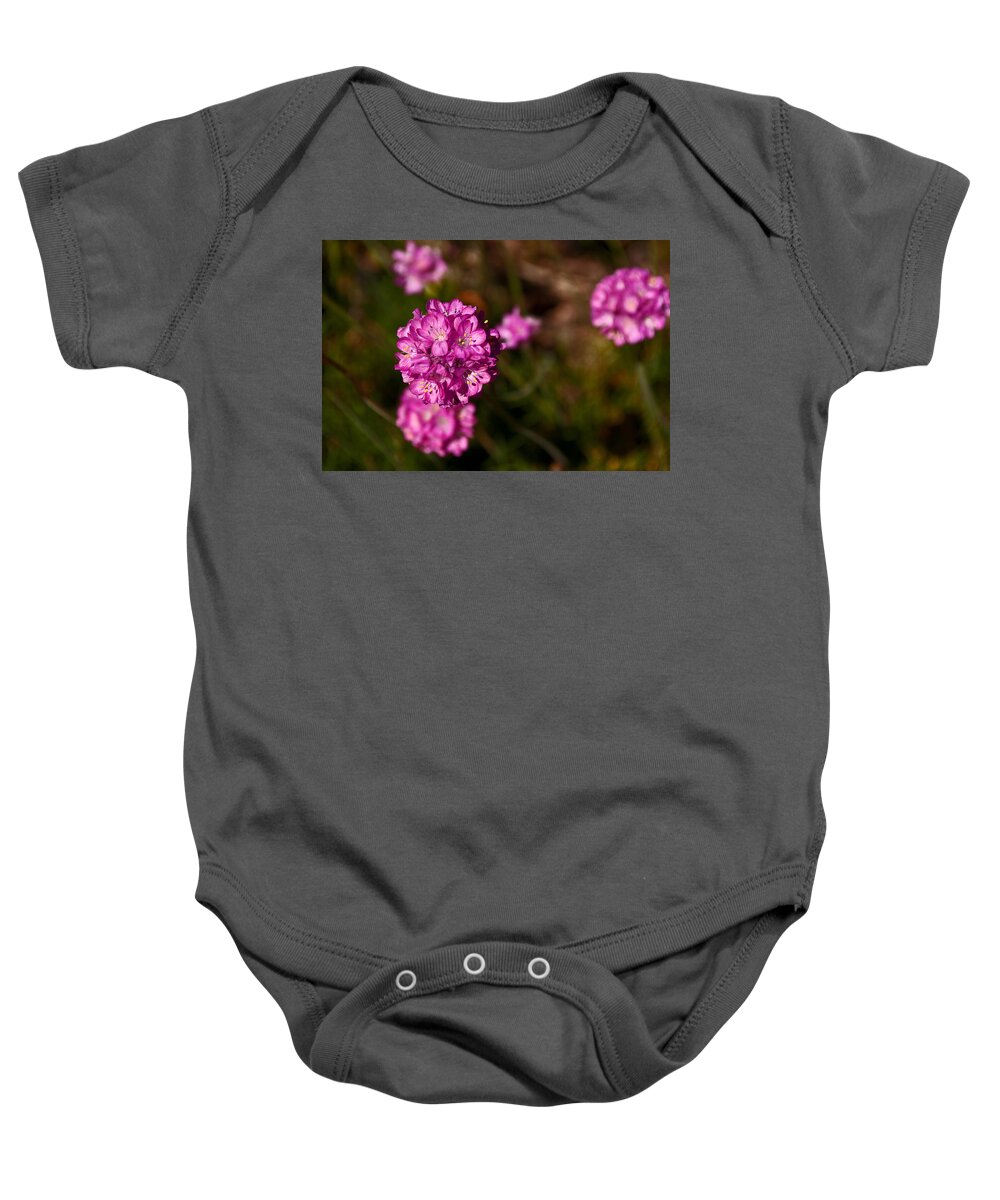  Armeria Maritima Baby Onesie featuring the photograph Among and Set Apart by Tikvah's Hope