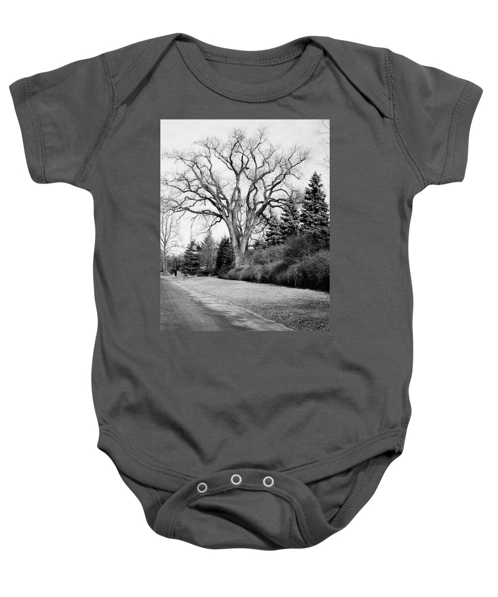 Exterior Baby Onesie featuring the photograph An Elm Tree At The Side Of A Road by Tom Leonard