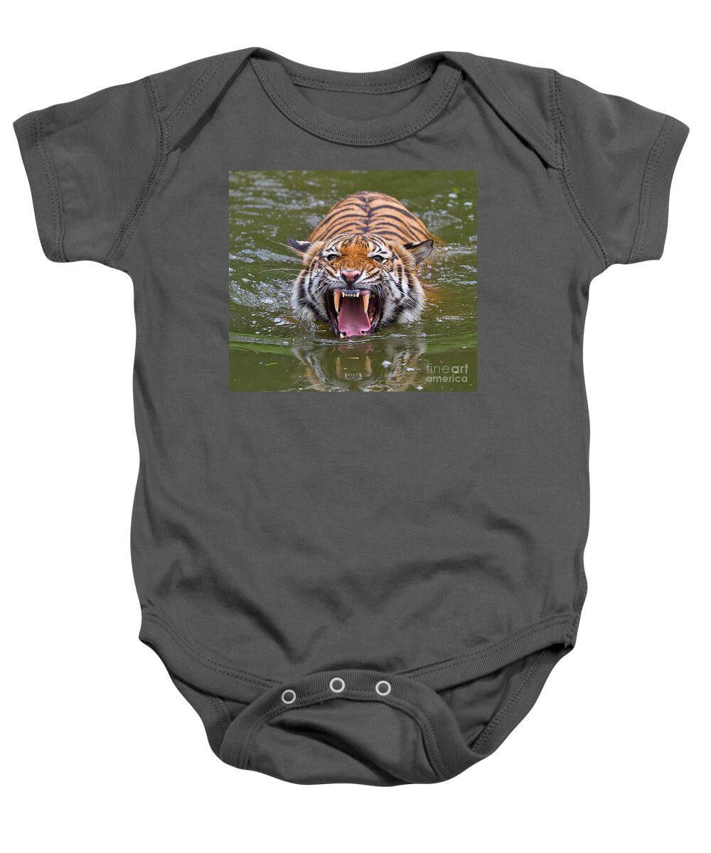 Animal Baby Onesie featuring the photograph Angry Tiger by Louise Heusinkveld