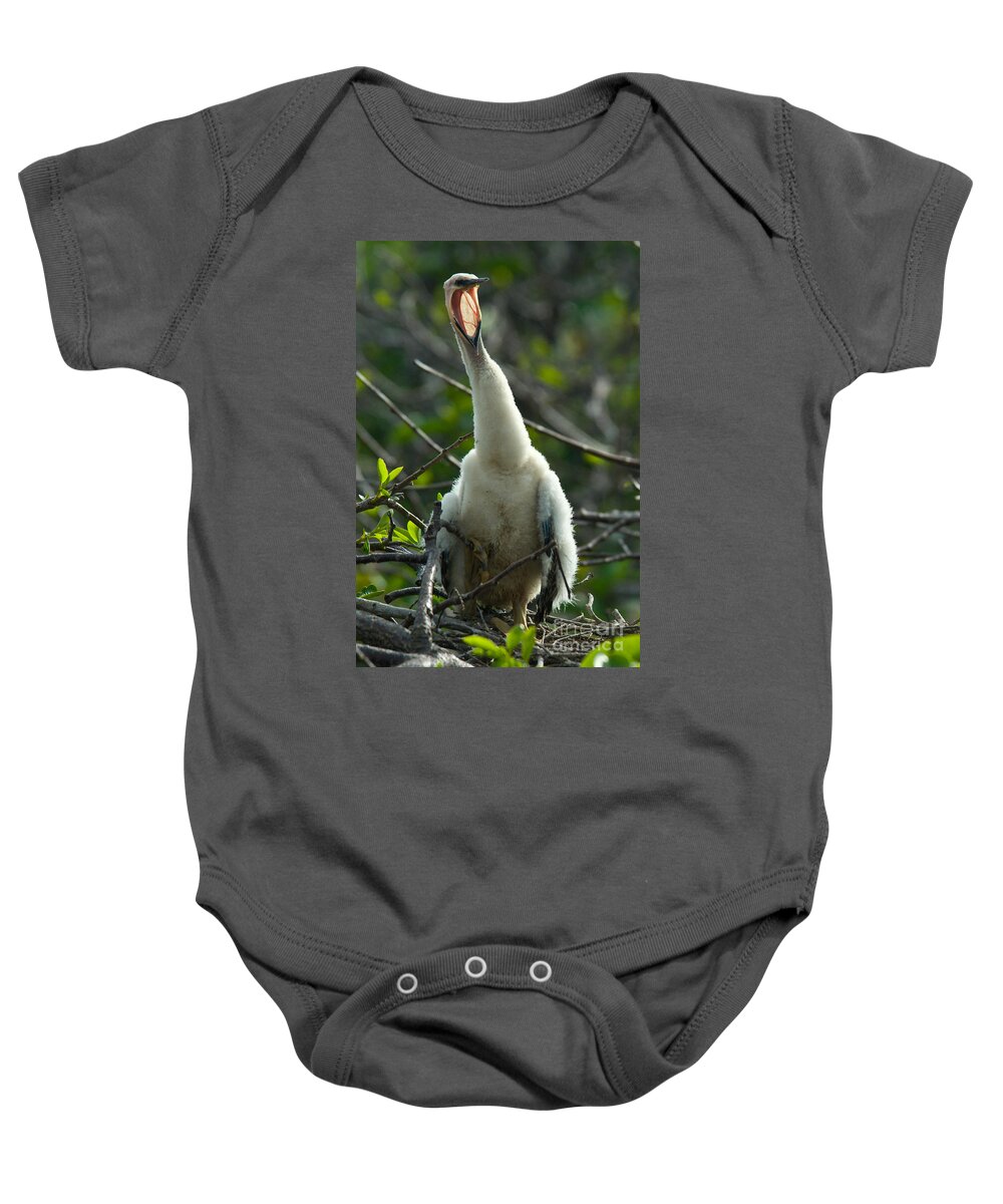 Animal Baby Onesie featuring the photograph Anhinga Chick by Mark Newman