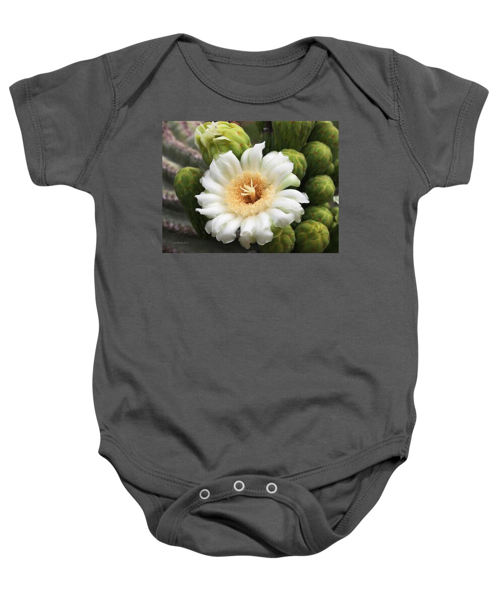 Arizona State Flower Baby Onesie featuring the photograph Arizona State Flower The Saguaro Blossom by Tom Janca