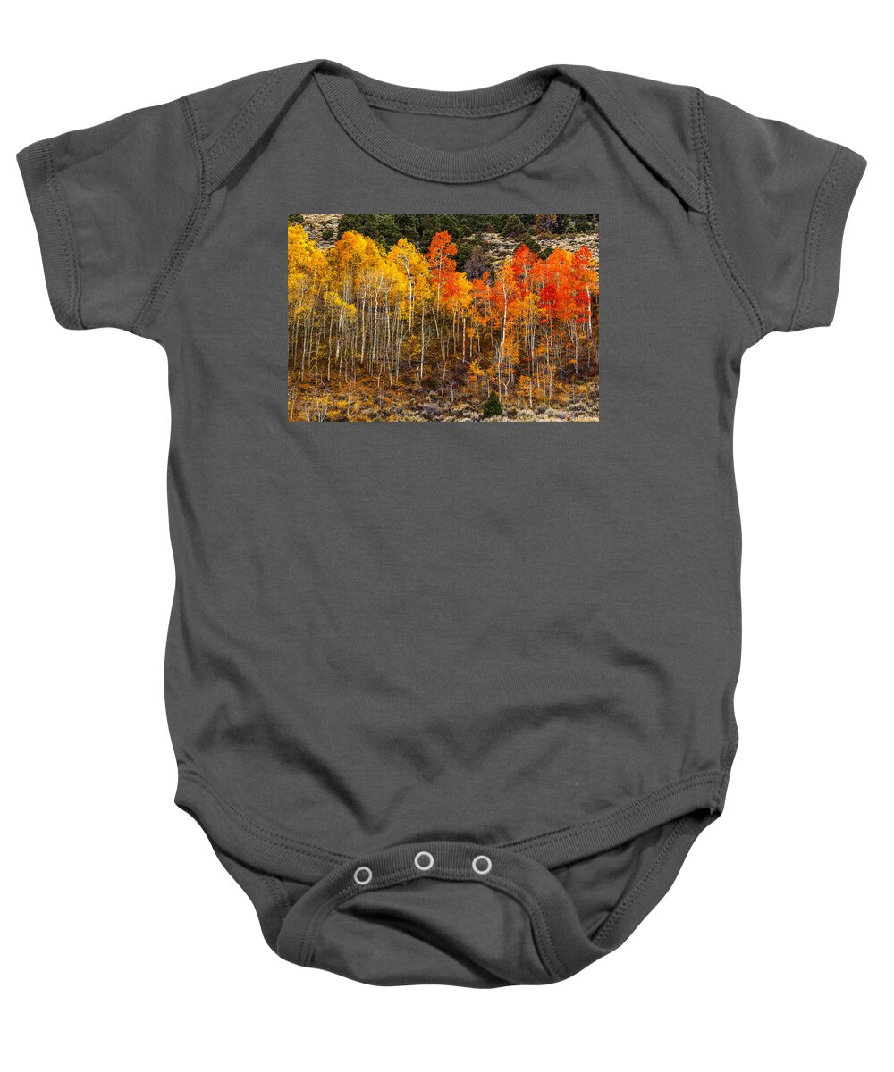 Aspen Grove Baby Onesie featuring the photograph Aspen Grove by Wes and Dotty Weber