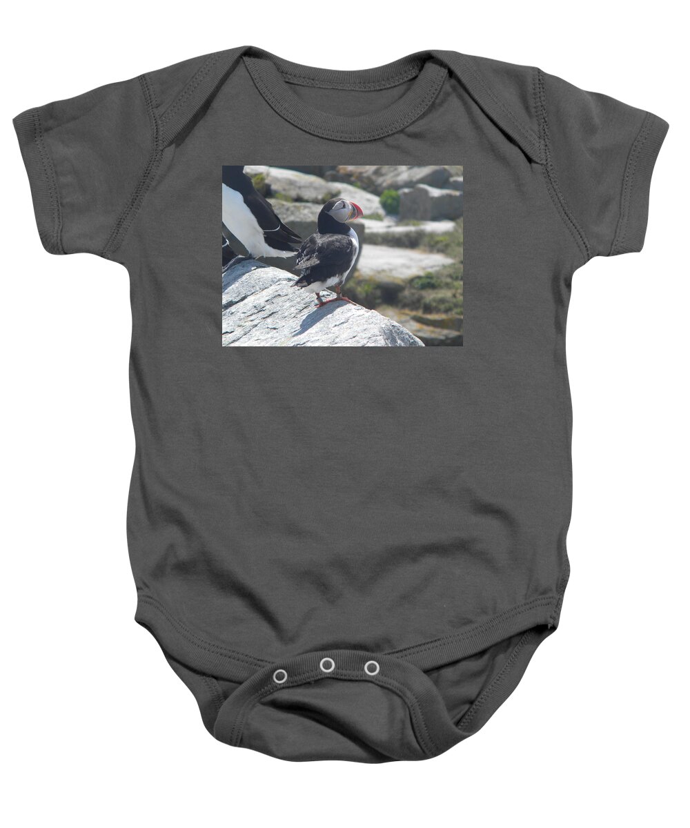 Atlantic Puffin Baby Onesie featuring the photograph Atlantic Puffin 2 by James Petersen