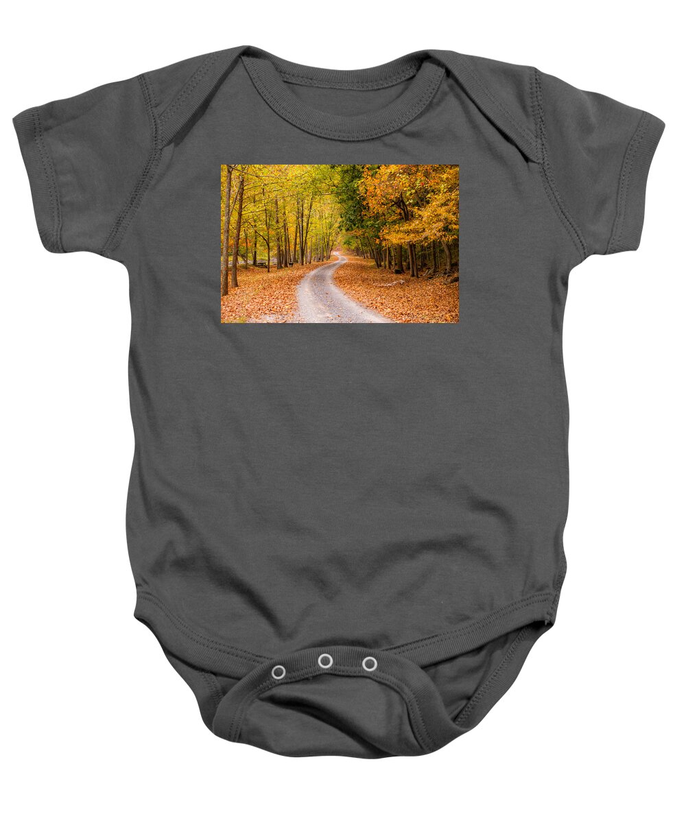 2013 Baby Onesie featuring the photograph Autum Path by Melinda Ledsome