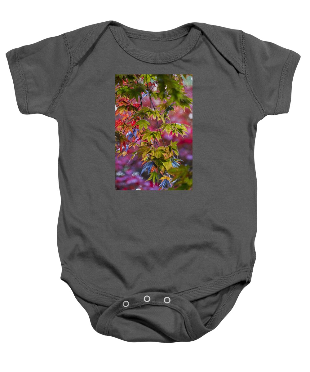 Japanese Baby Onesie featuring the photograph Autumn Acer. by Clare Bambers