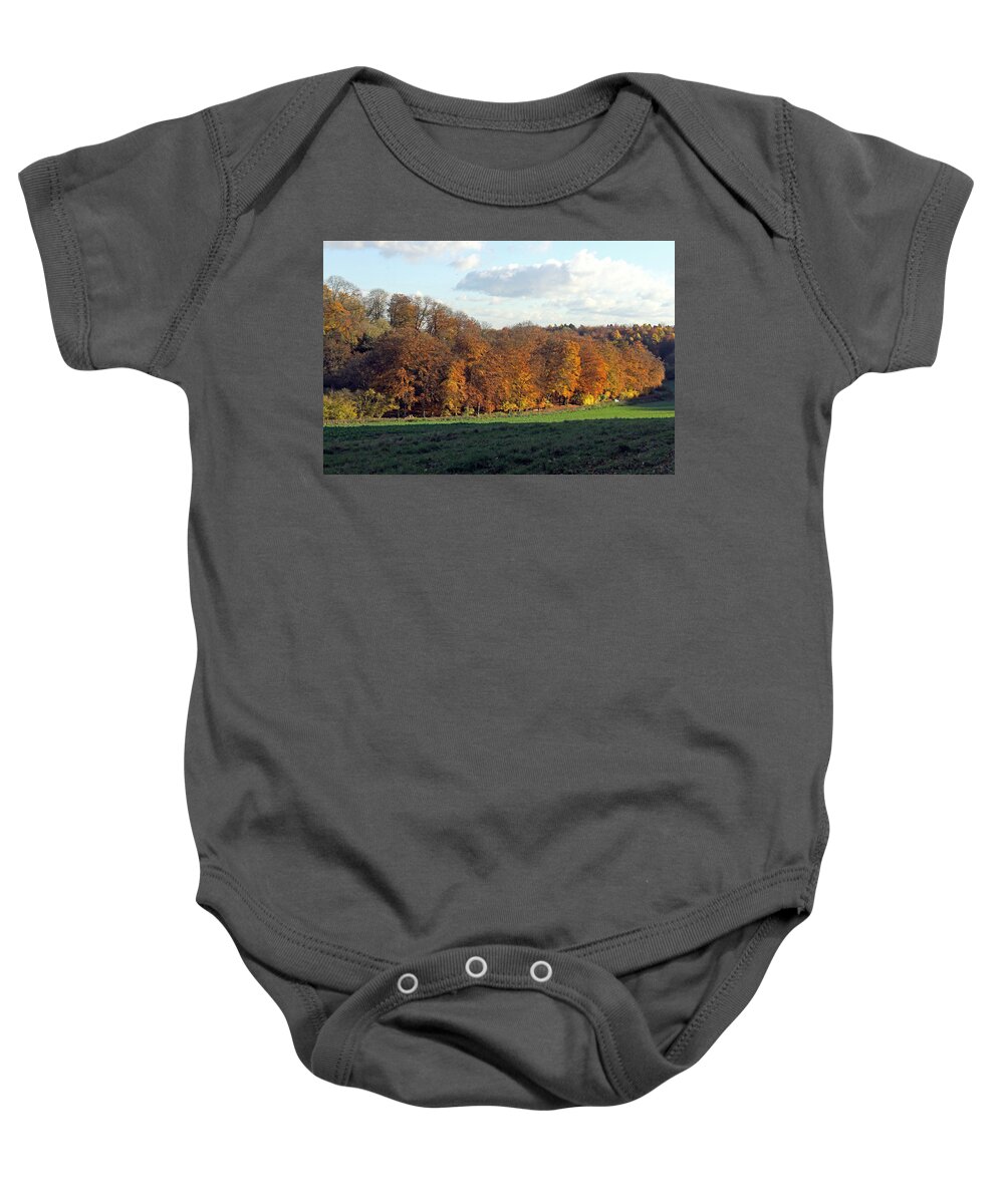 Autumn Tree Line Baby Onesie featuring the photograph Autumn Tree Line by Tony Murtagh
