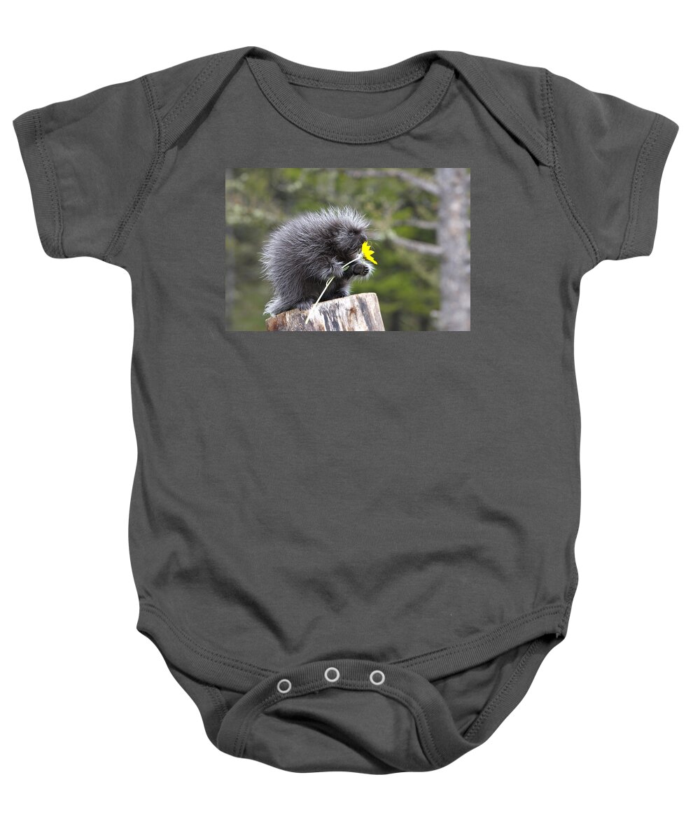 Porcupine Baby Onesie featuring the photograph Baby Porcupine With Flower by M. Watson