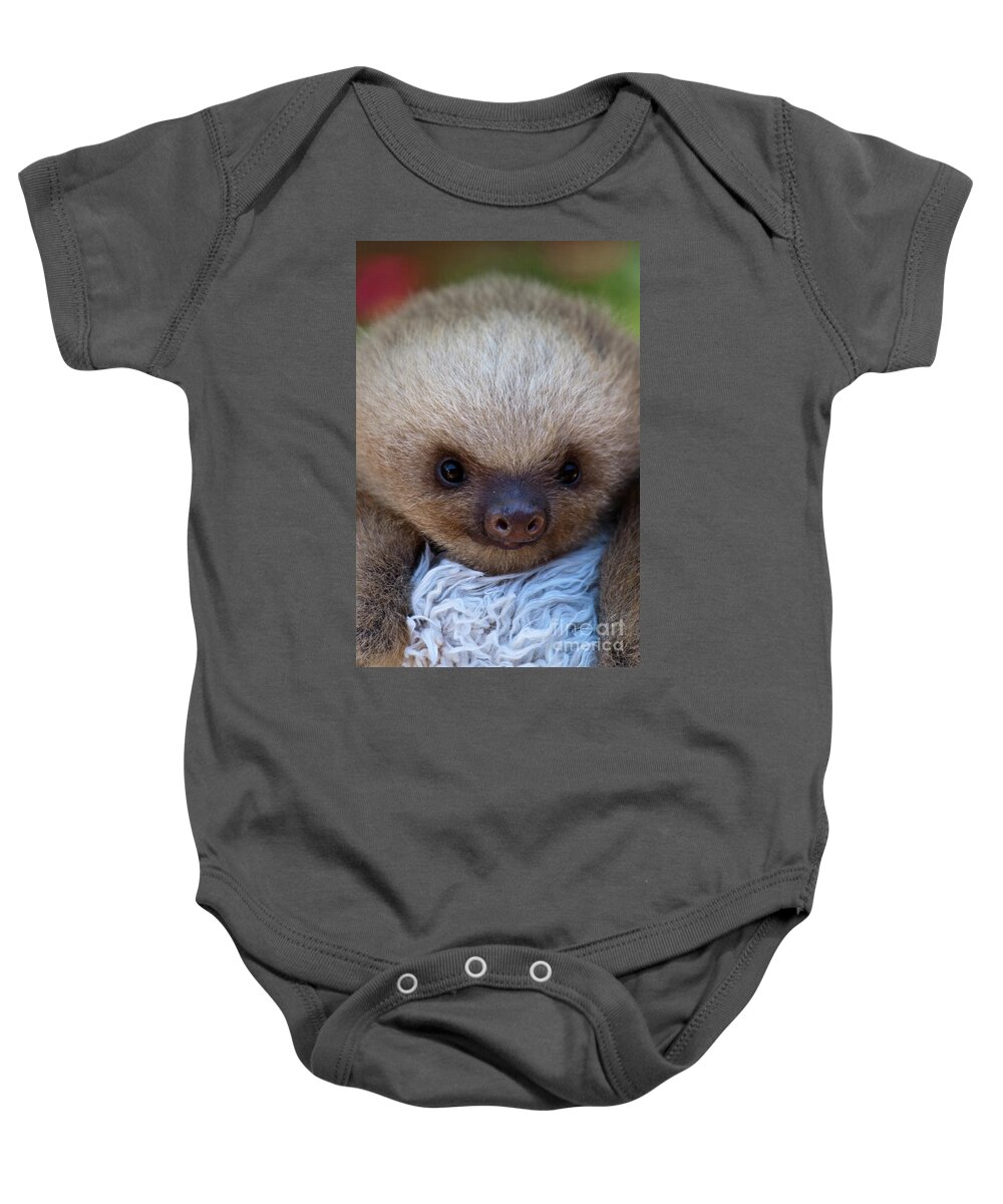 Sloth Baby Onesie featuring the photograph Baby Sloth by Heiko Koehrer-Wagner