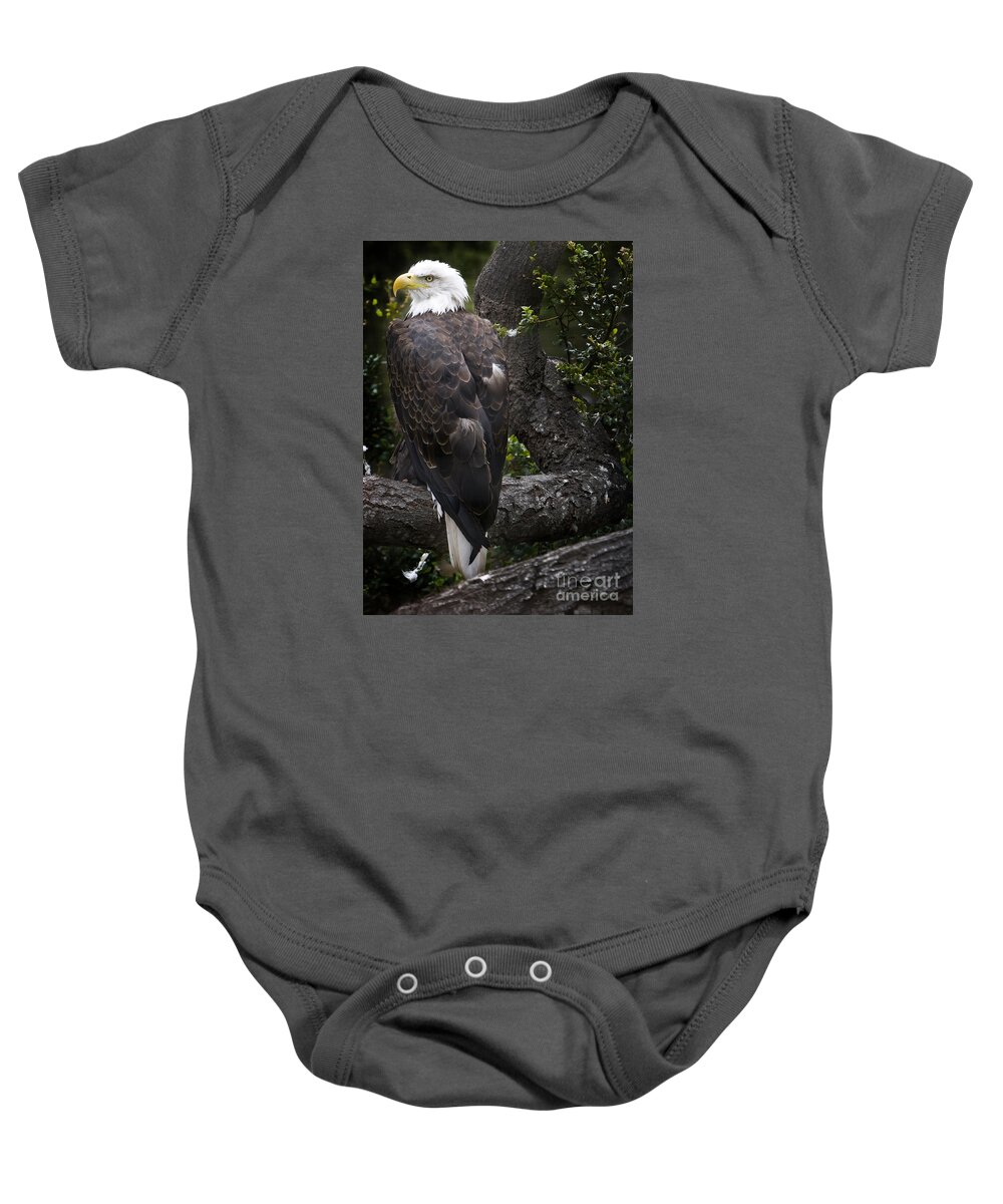 Eagle Baby Onesie featuring the photograph Bald Eagle by David Millenheft