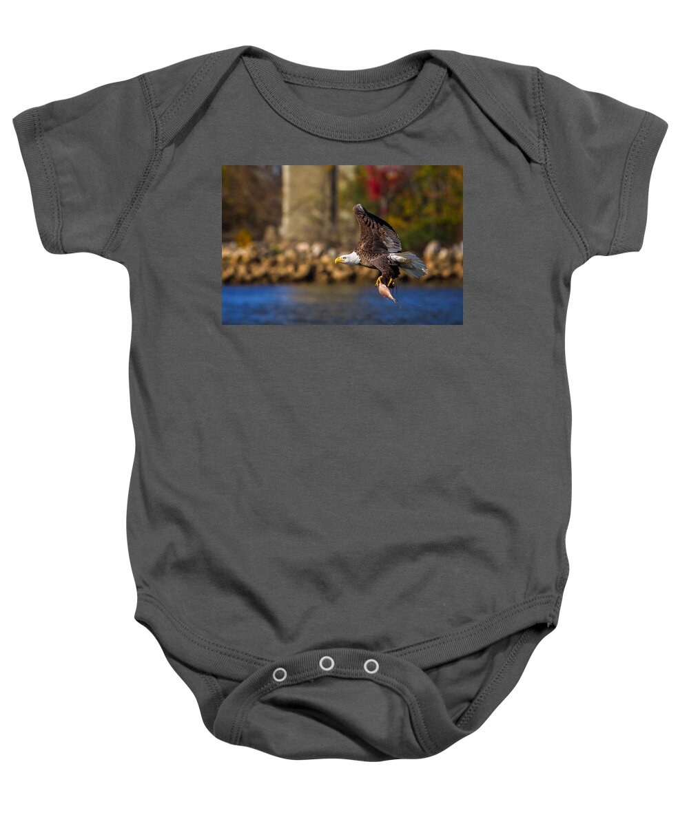 Da* 300 Baby Onesie featuring the photograph Bald Eagle in Flight over Water Carrying a Fish by Lori Coleman