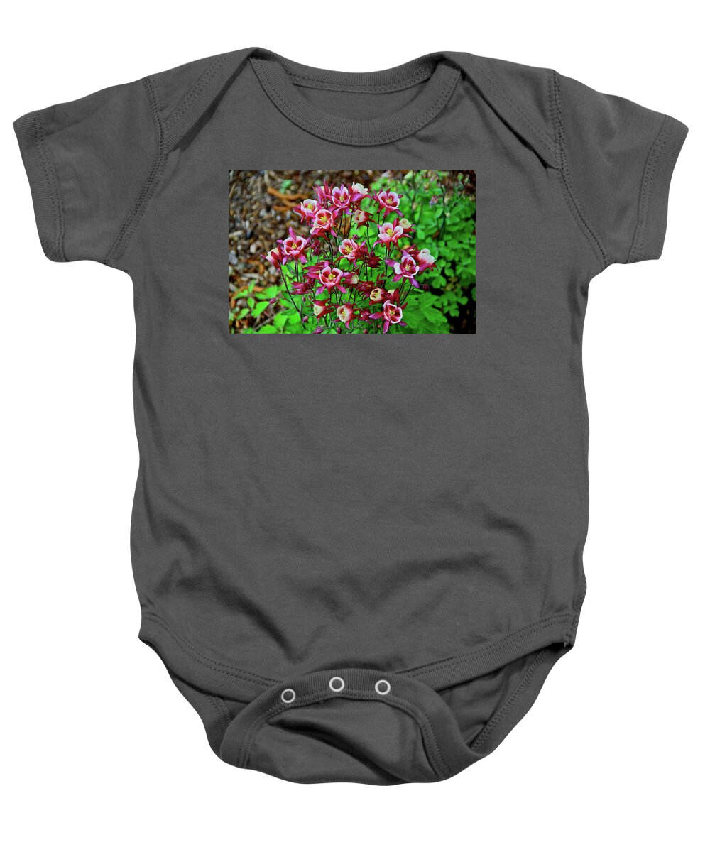 Columbine Baby Onesie featuring the photograph Beautiful Columbine  by Ed Riche
