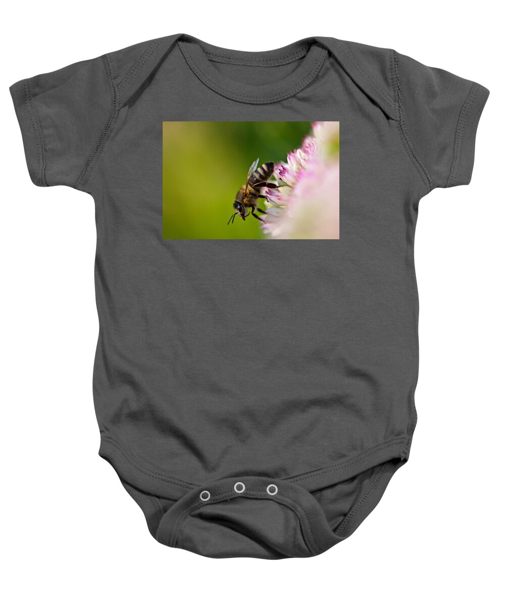 Animal Baby Onesie featuring the photograph Bee Sitting on a Flower by John Wadleigh