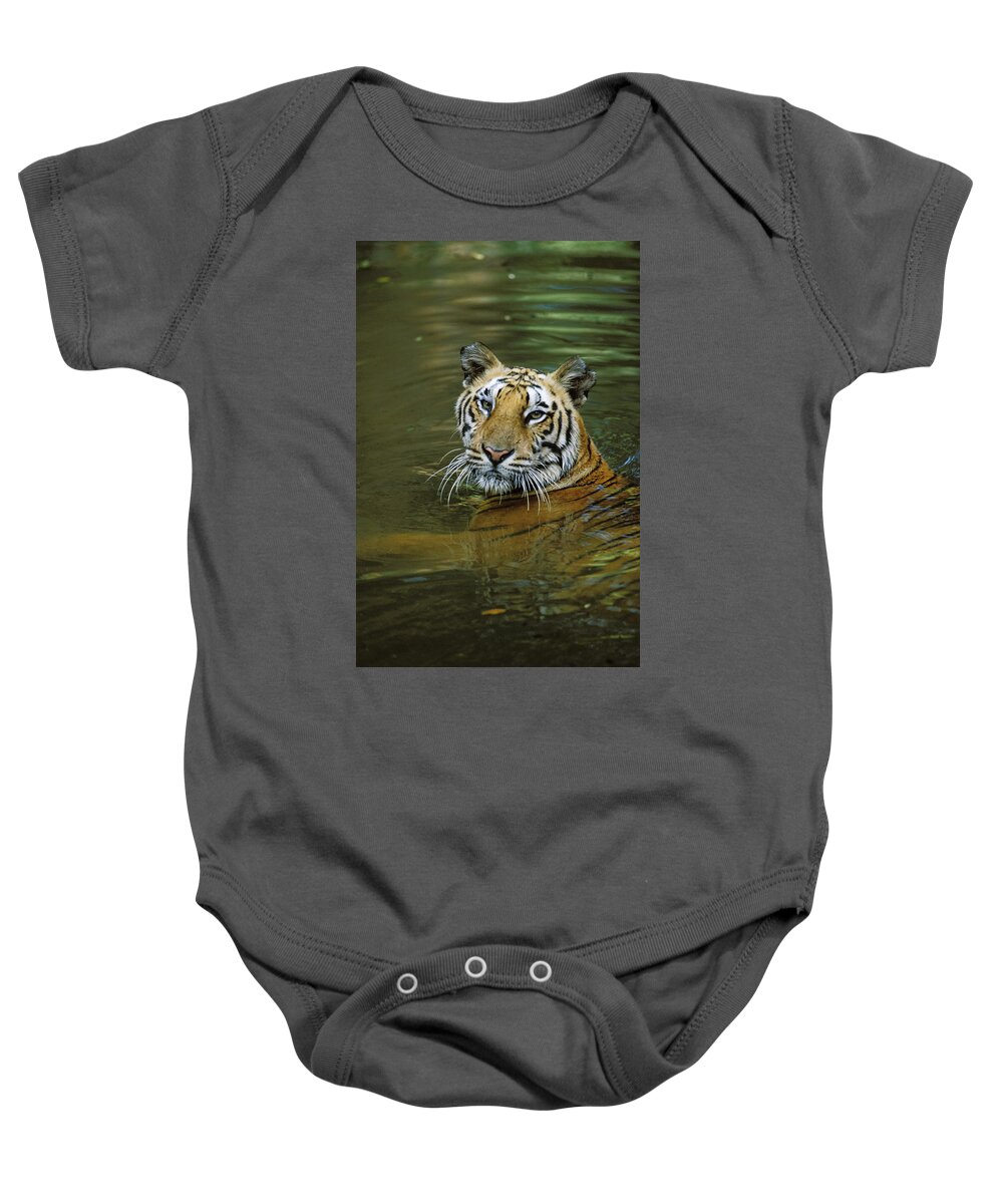Feb0514 Baby Onesie featuring the photograph Bengal Tiger In Water Native To India by Konrad Wothe