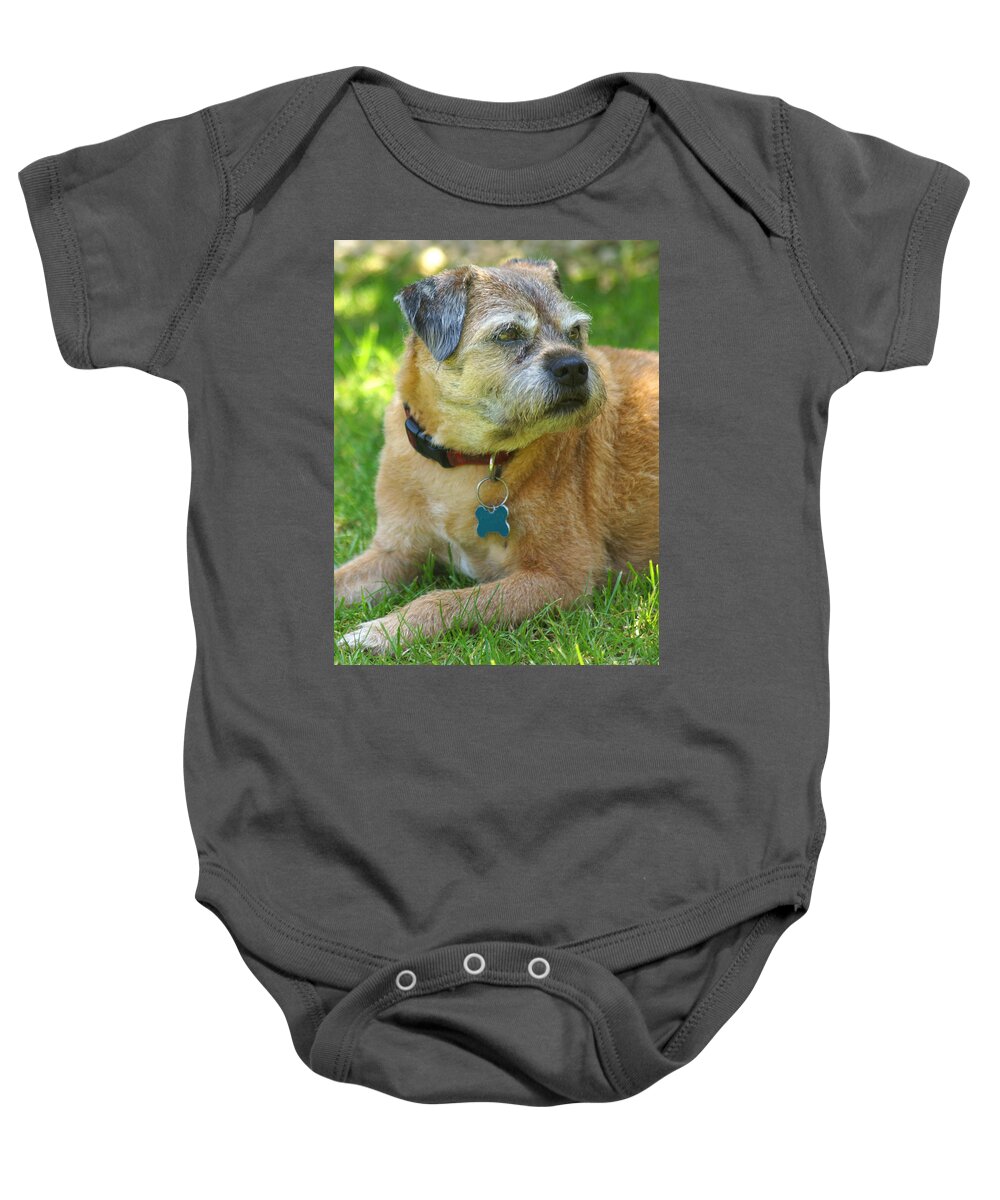 Dog Baby Onesie featuring the photograph Bertie the Border Terrier by David Birchall