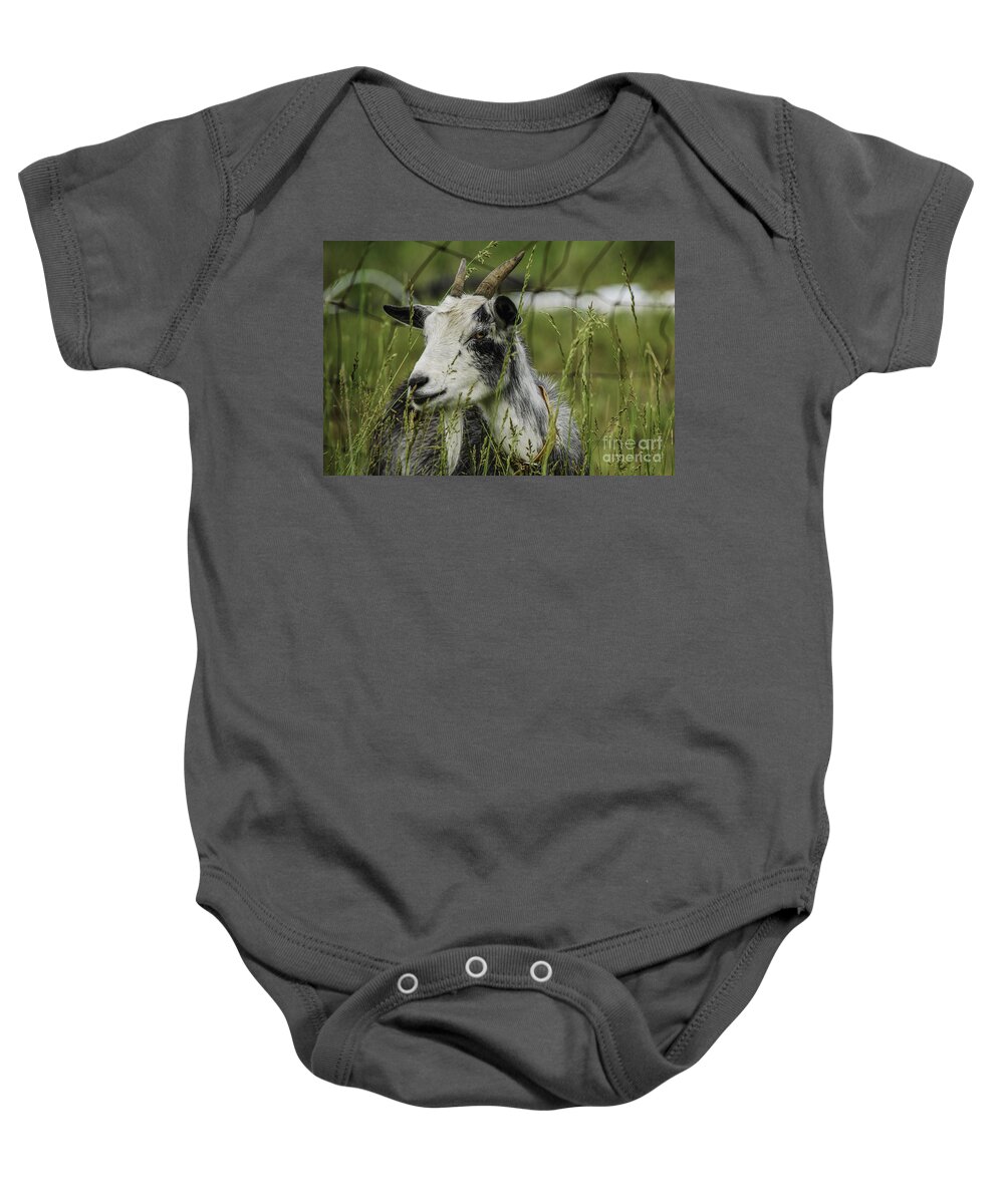 Agriculture Baby Onesie featuring the photograph Betsy by Mary Carol Story