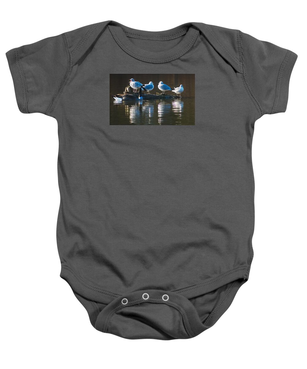 Birds Baby Onesie featuring the photograph Birds on a Log by Steve Somerville