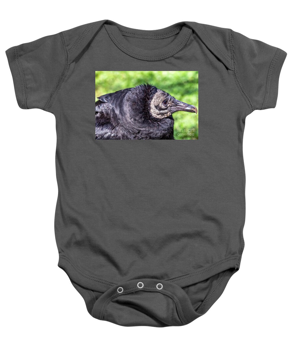 Coragyps-atratuscolor Baby Onesie featuring the photograph Black Vulture waiting for prey by Bernd Laeschke