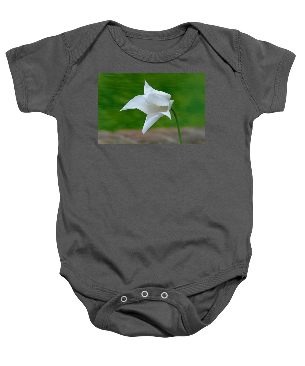 Long Hill Baby Onesie featuring the photograph Blowin' by Liz Mackney