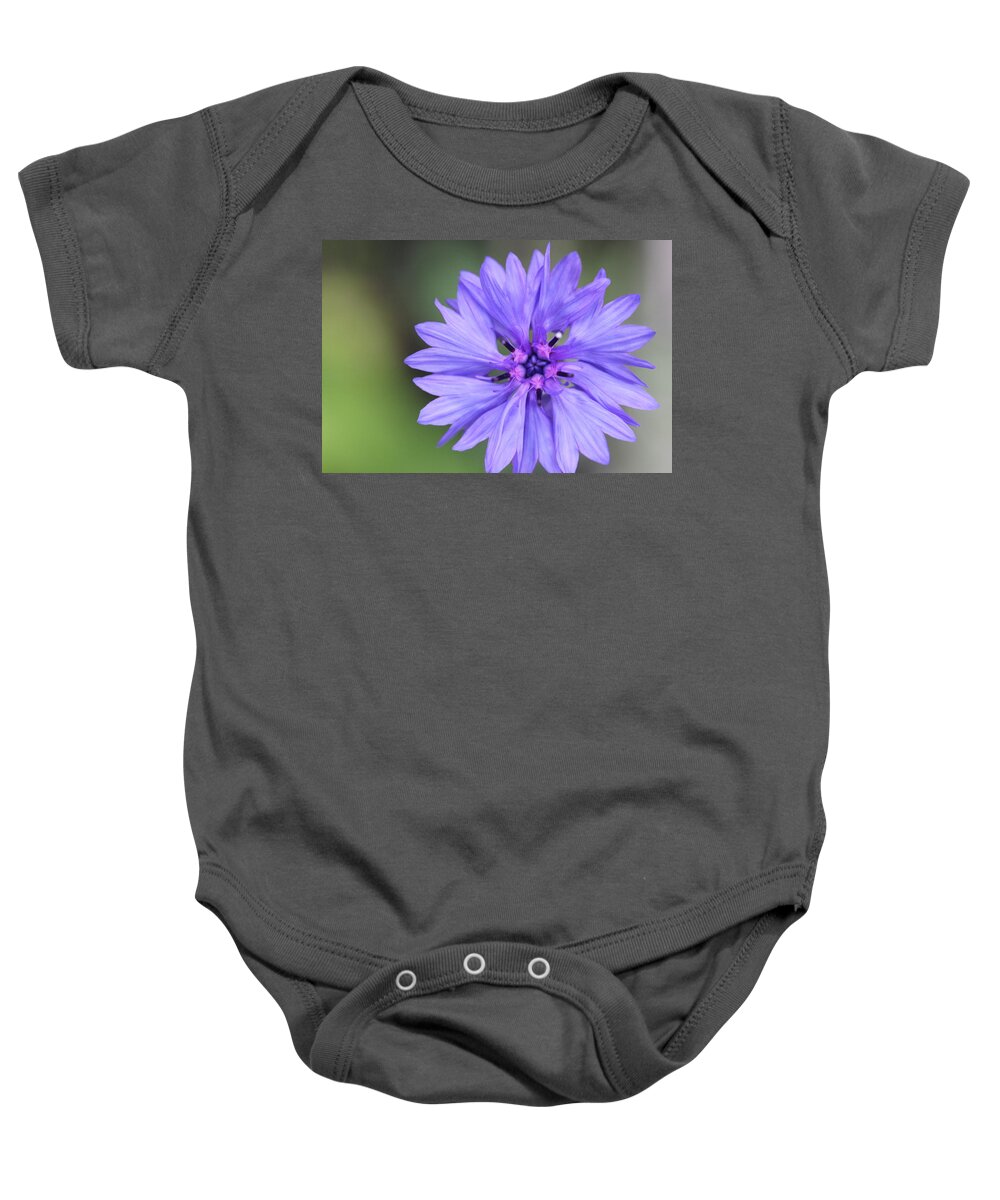 Blue Flower Baby Onesie featuring the painting Blue Button by Ruth Kamenev