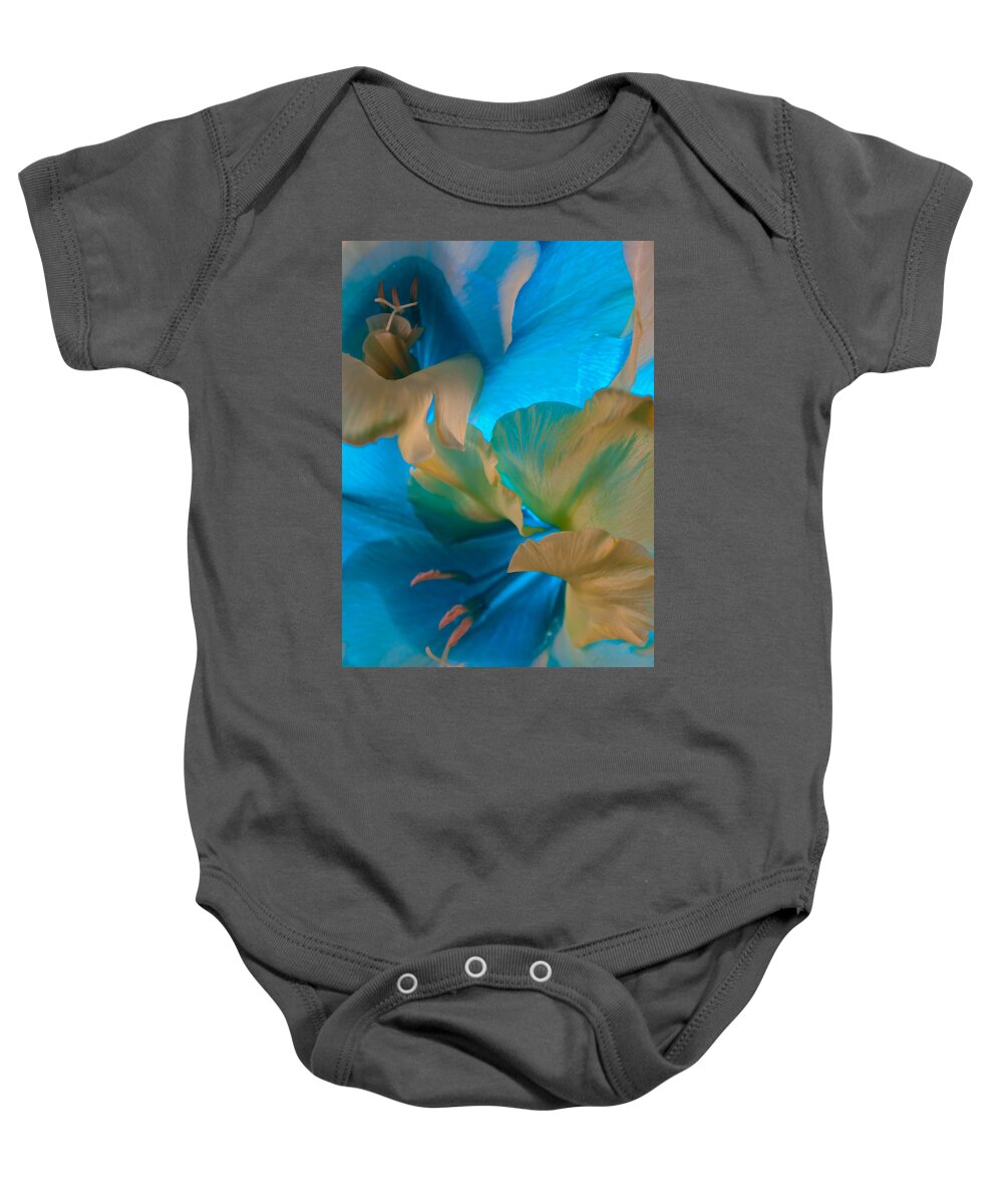 Blue Baby Onesie featuring the photograph Blue Danube by Bobby Villapando