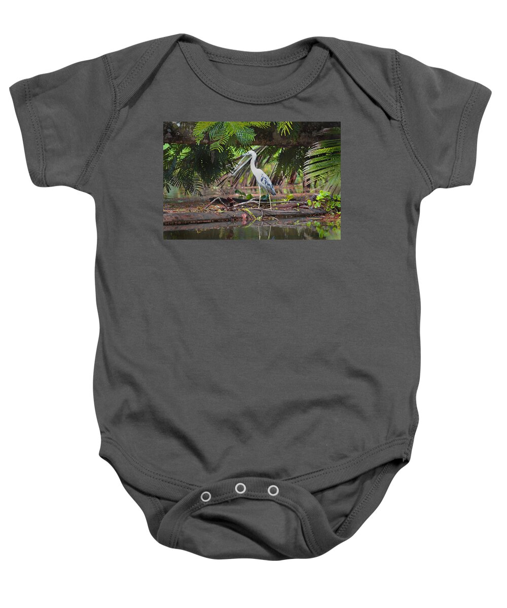 Blue Heron Baby Onesie featuring the photograph Blue Heron Tortuguero Costa Rica by Gary Keesler
