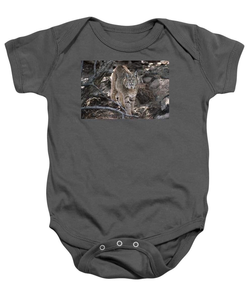 Feb0514 Baby Onesie featuring the photograph Bobcat Adult Portrait Montana by Tim Fitzharris