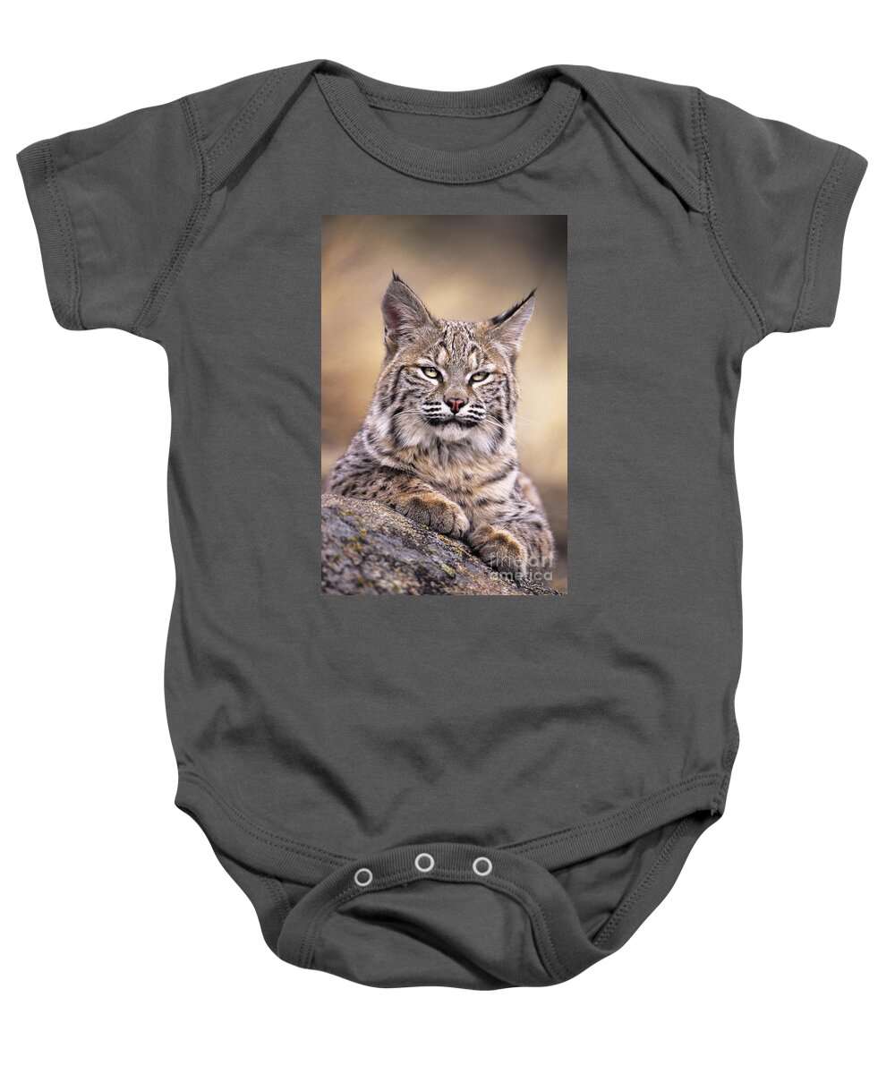 Bobcat Baby Onesie featuring the photograph Bobcat Cub Portrait Montana Wildlife by Dave Welling