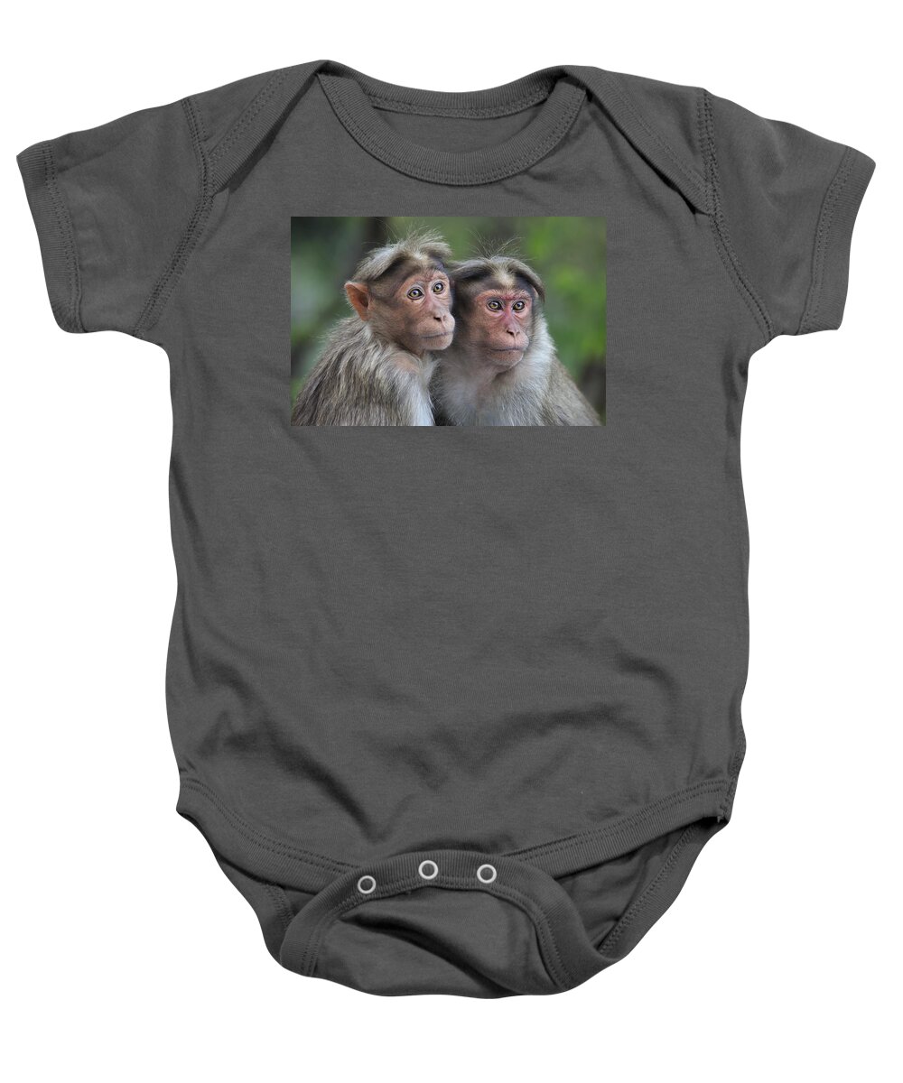 Thomas Marent Baby Onesie featuring the photograph Bonnet Macaque Pair Huddling India by Thomas Marent